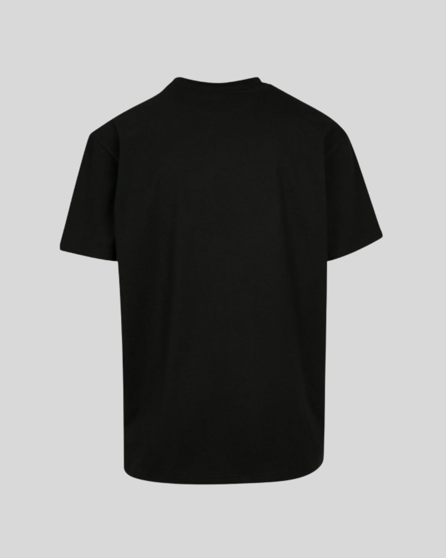 Heavy T-shirt Sample