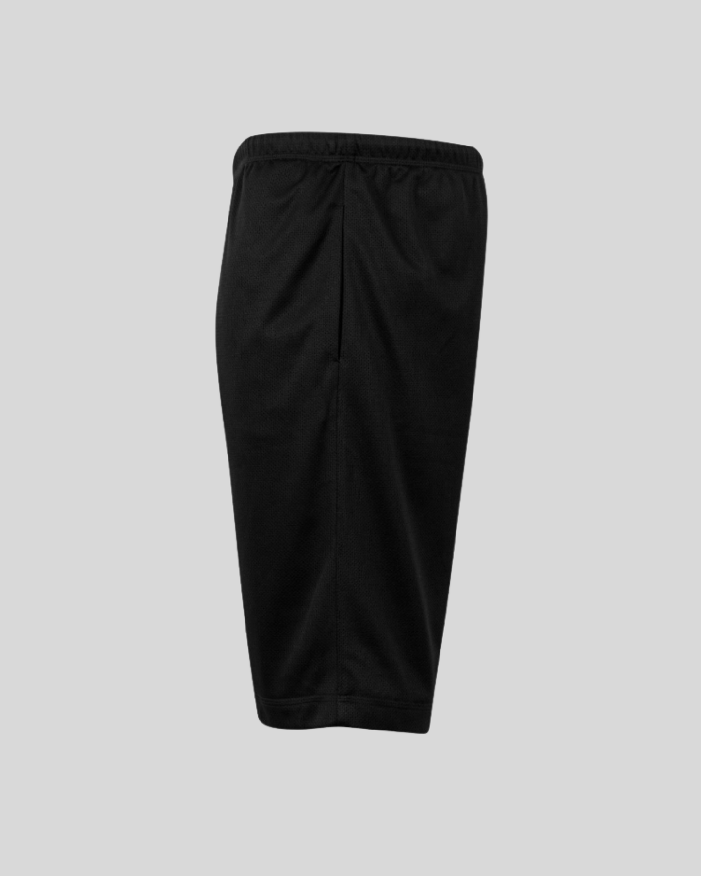 Mesh Short Sample