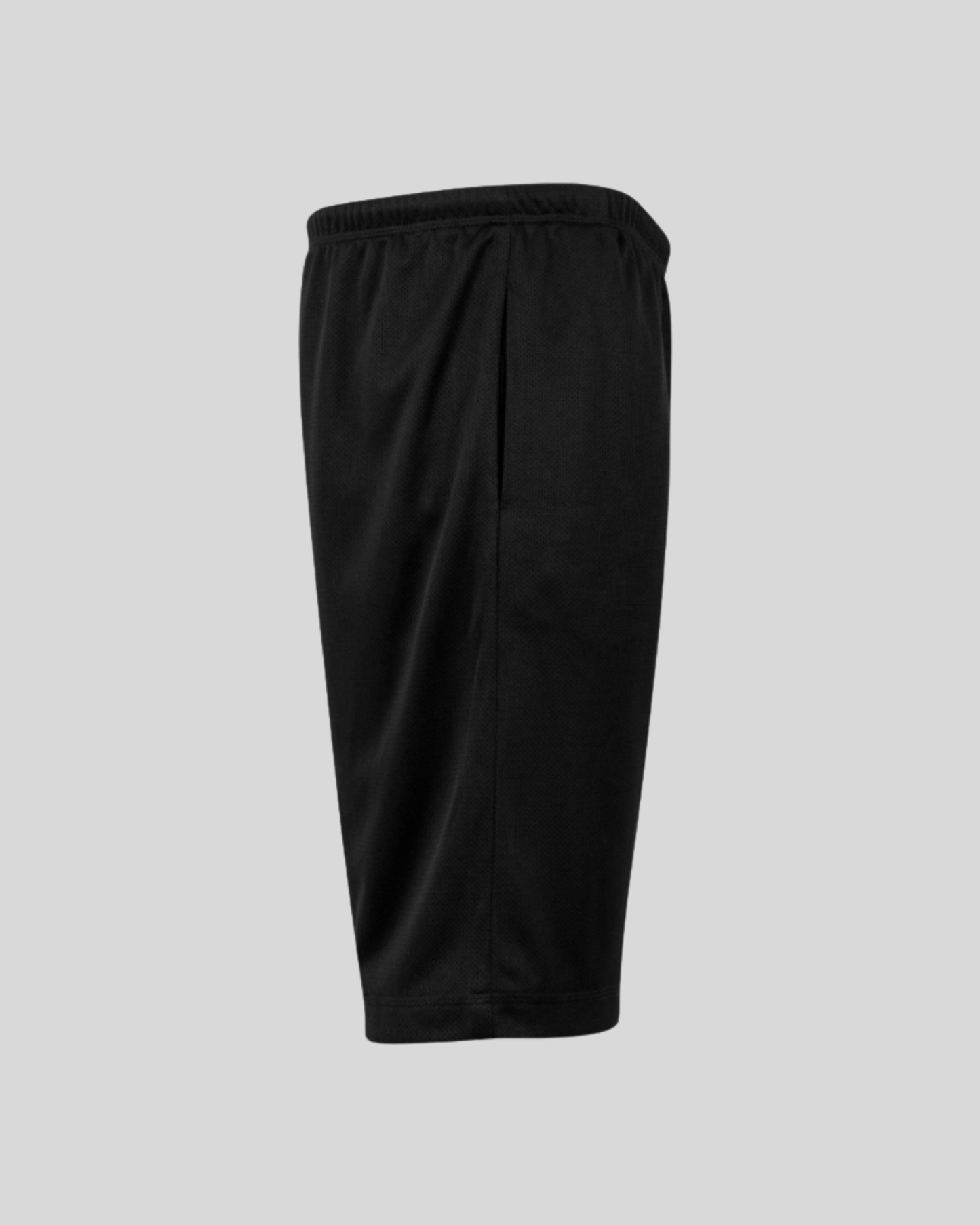Mesh Short Sample