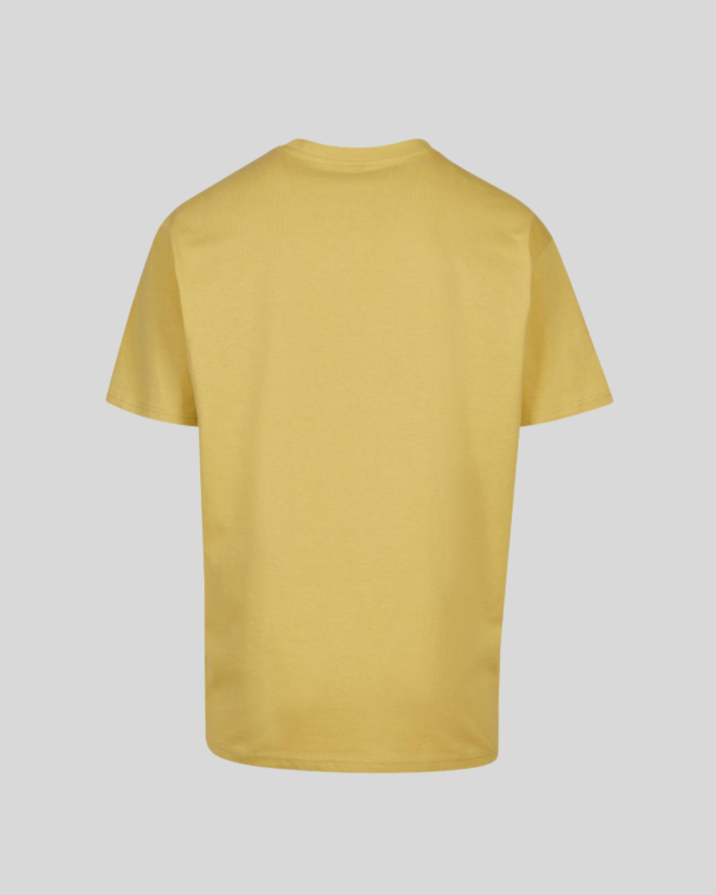 Heavy T-shirt Sample