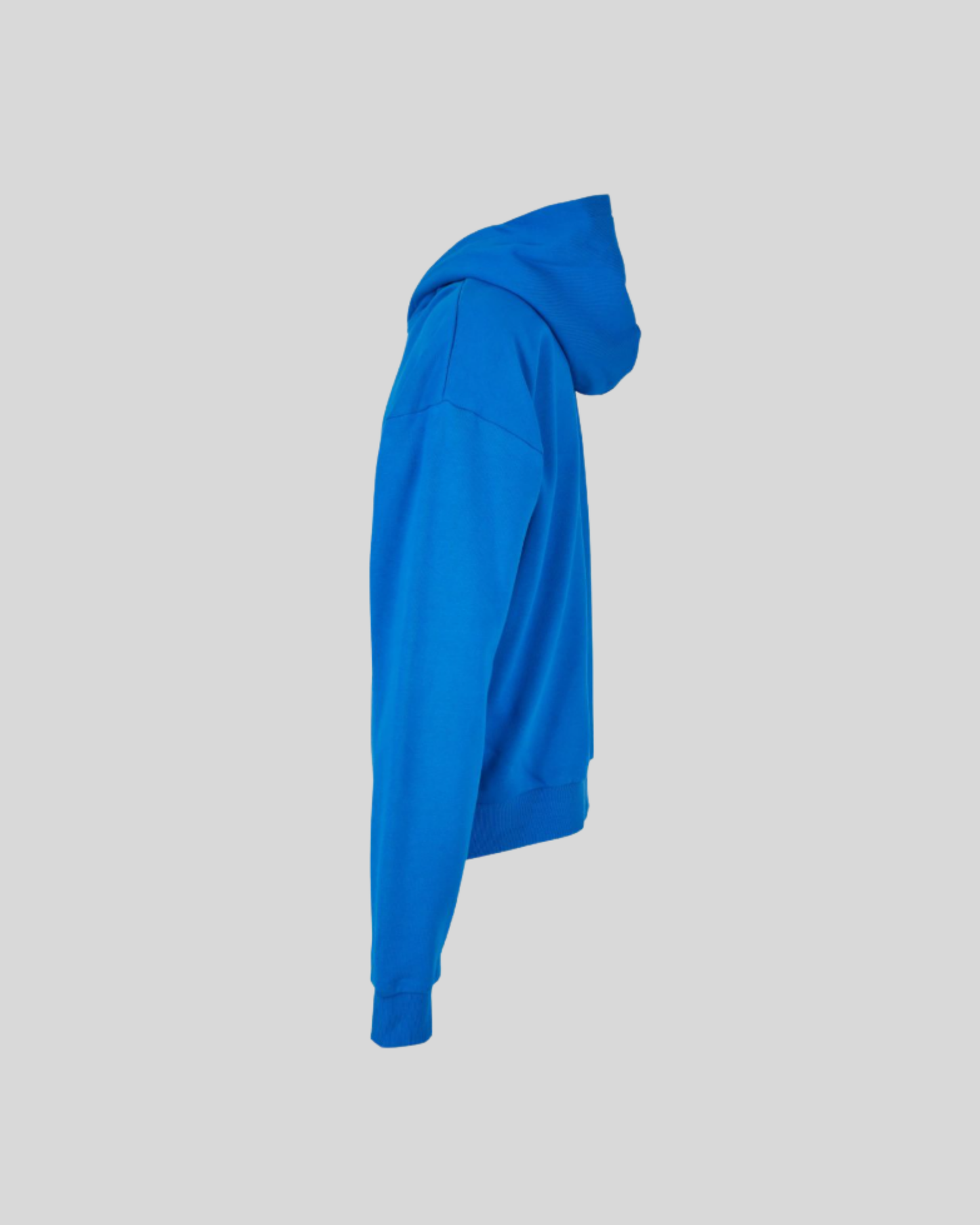Ultra Heavy Box Hoodie Sample