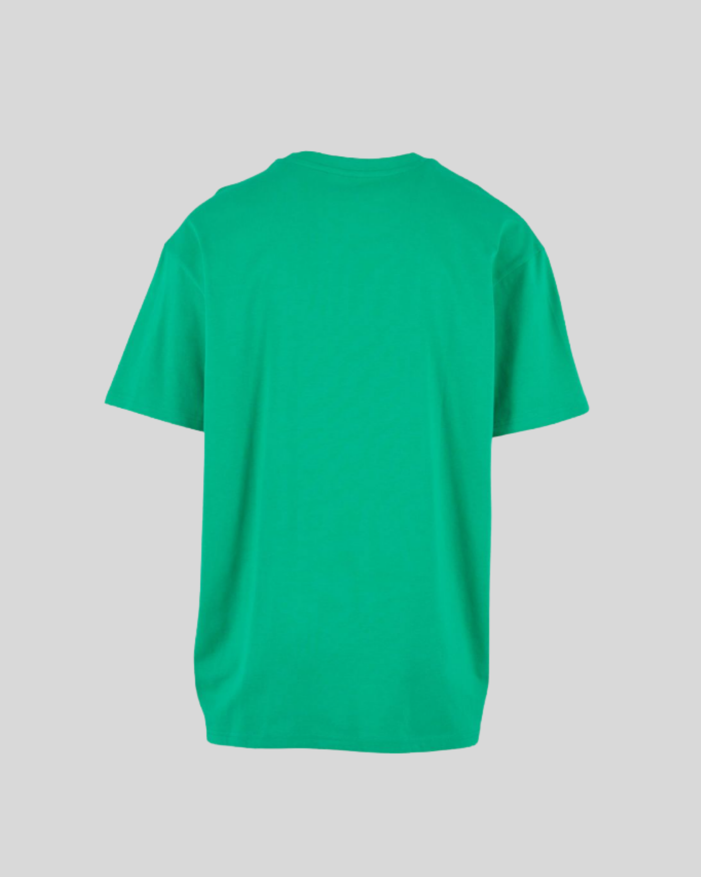 Heavy T-shirt Sample