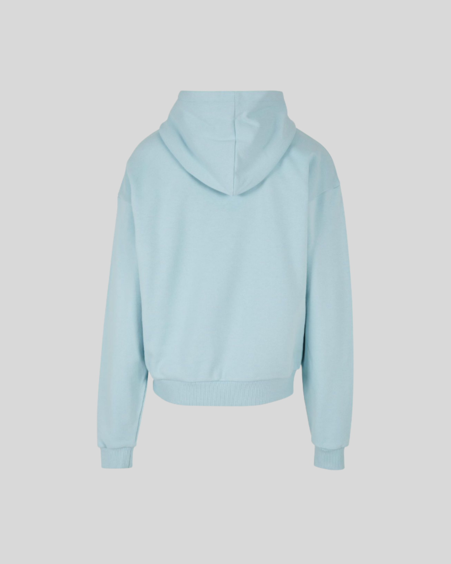 Ultra Heavy Box Hoodie Sample