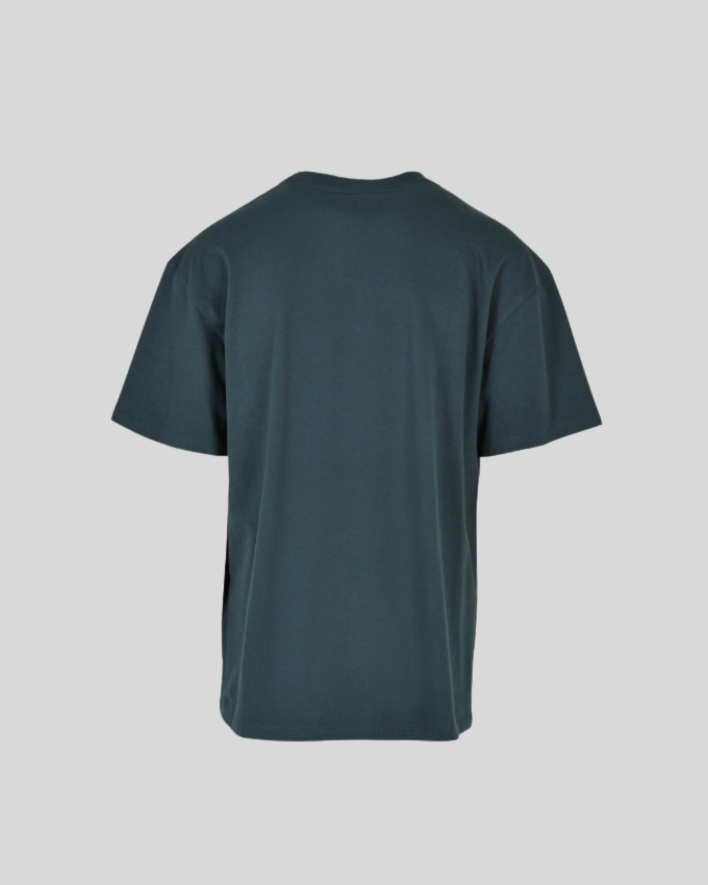 Heavy T-shirt Sample
