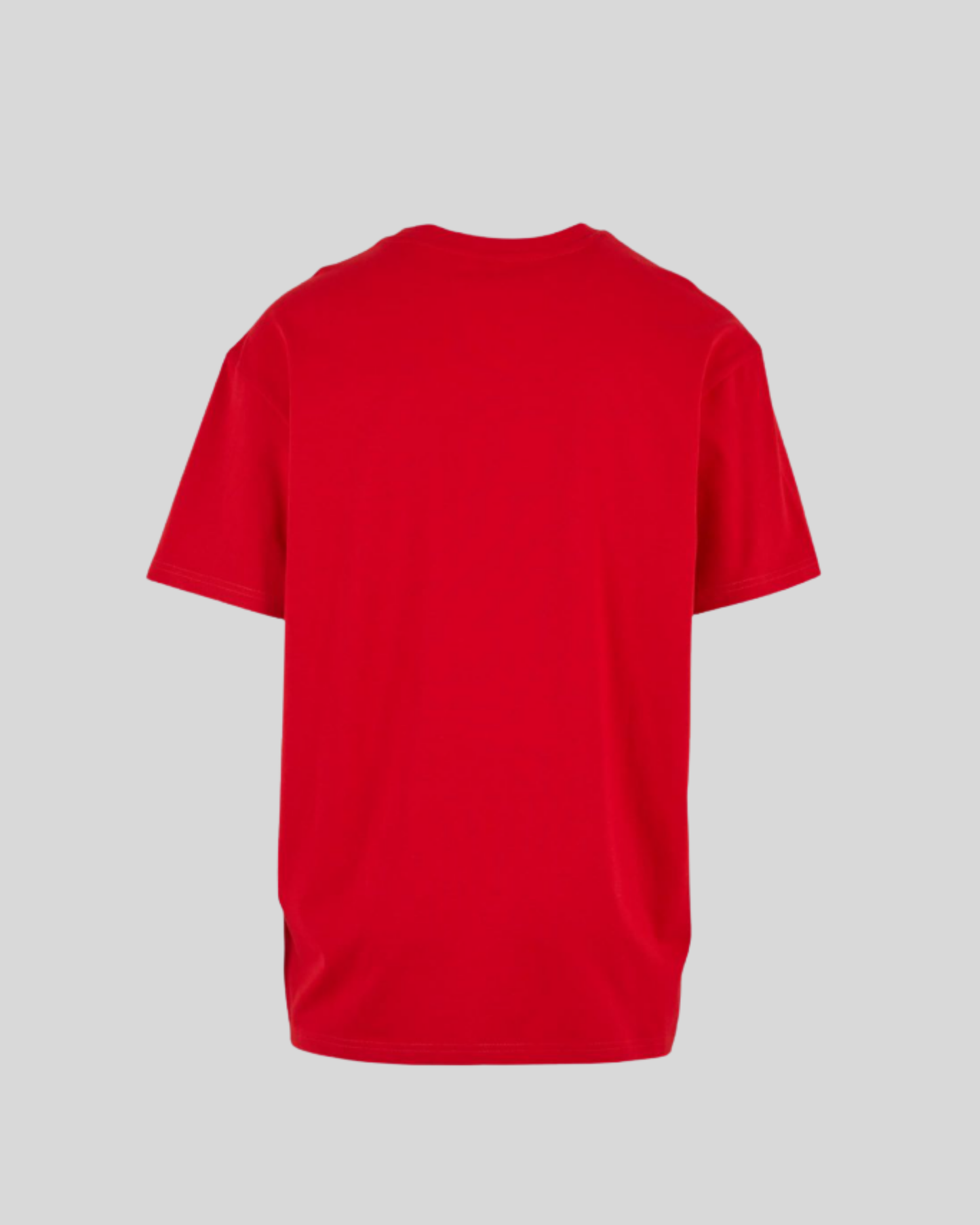 Heavy T-shirt Sample