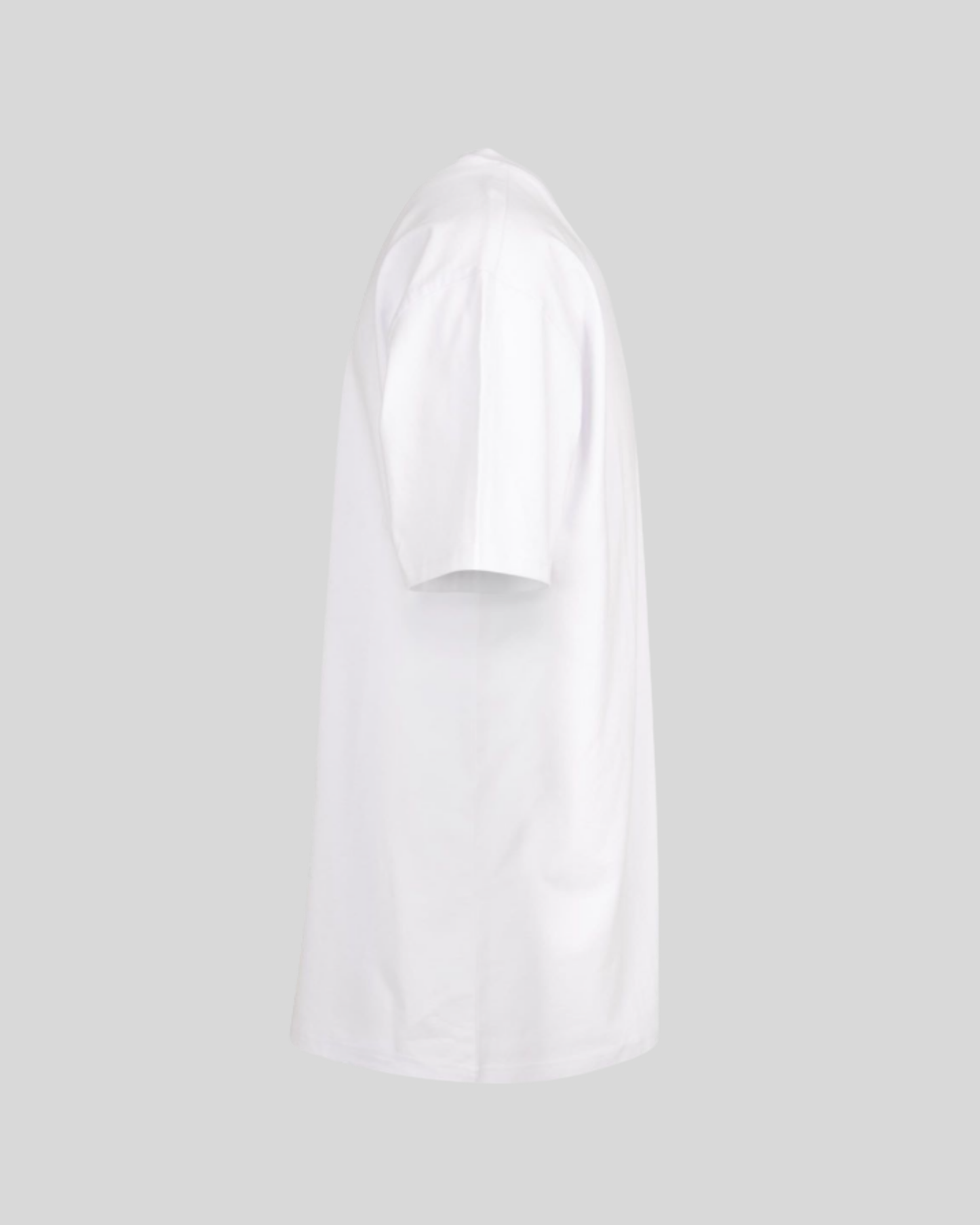 Heavy T-shirt Sample