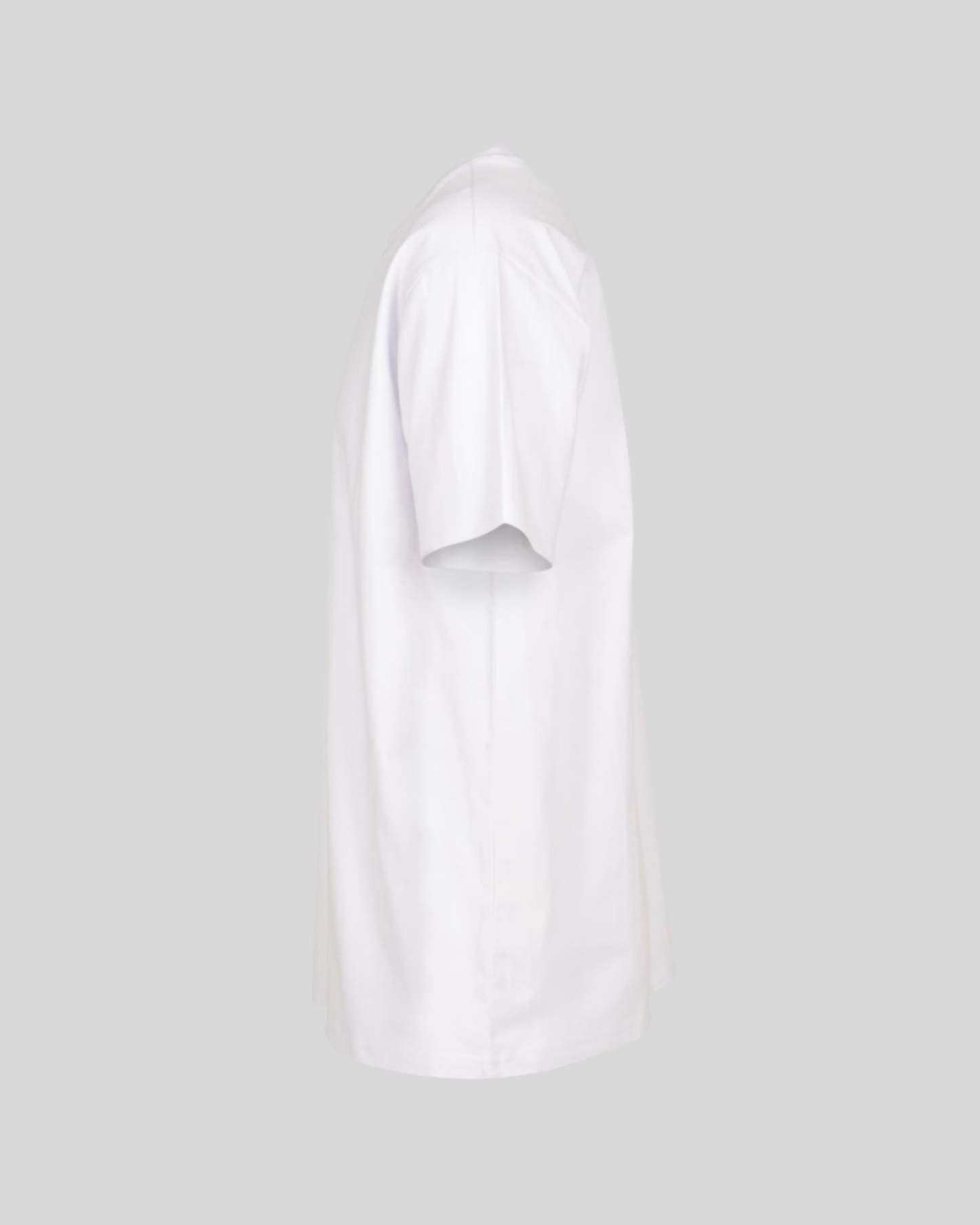 Heavy T-shirt Sample
