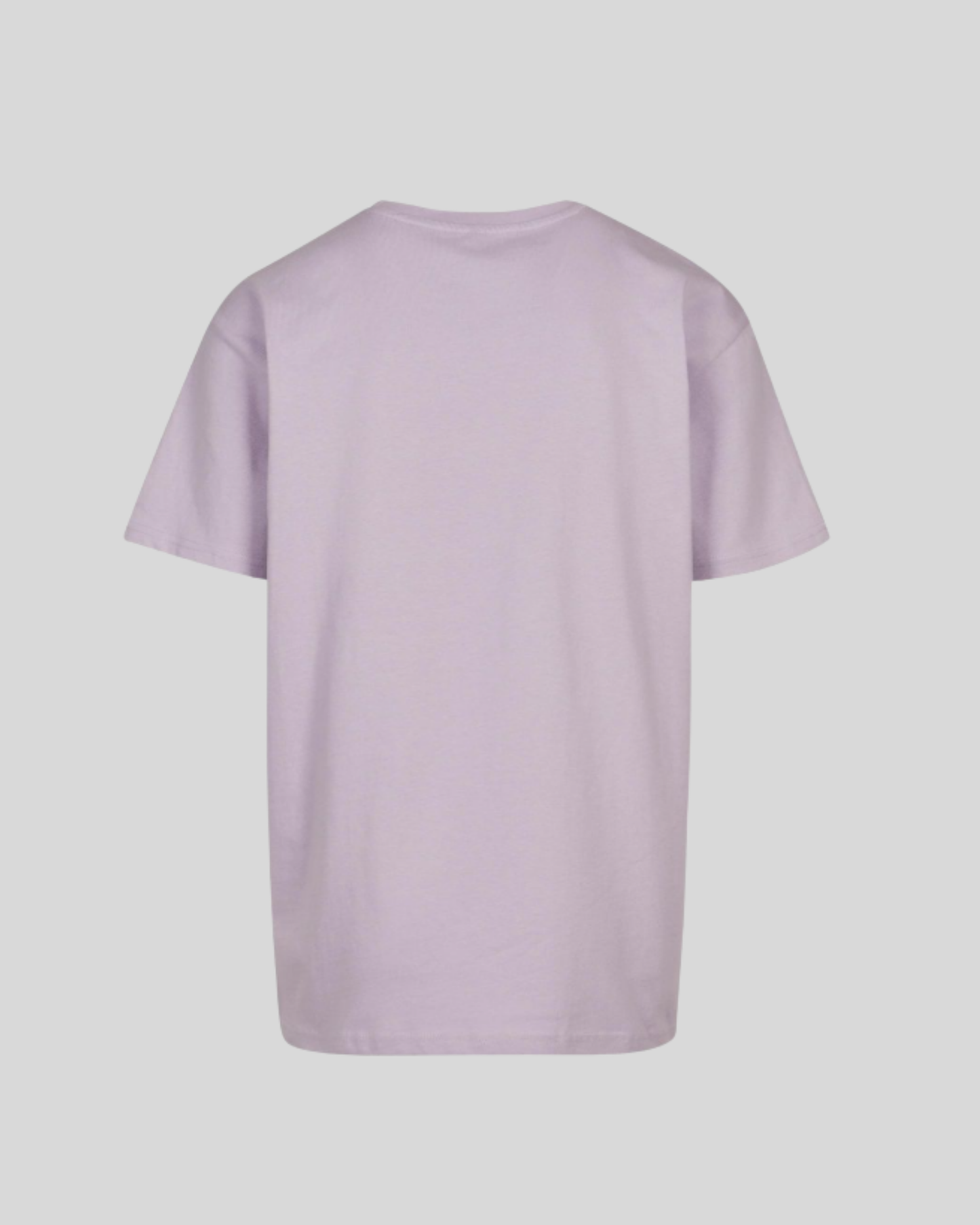 Heavy T-shirt Sample