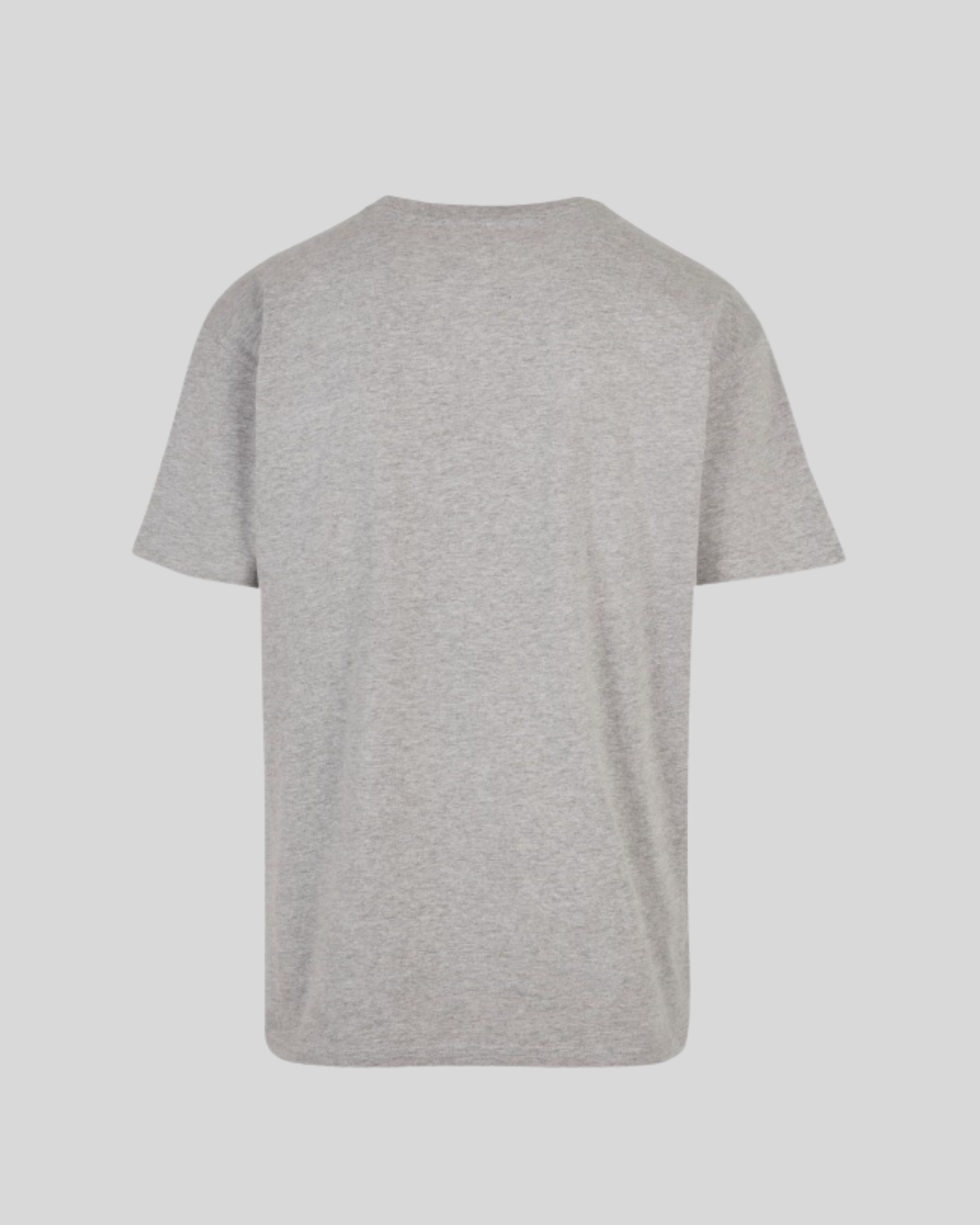 Heavy T-shirt Sample