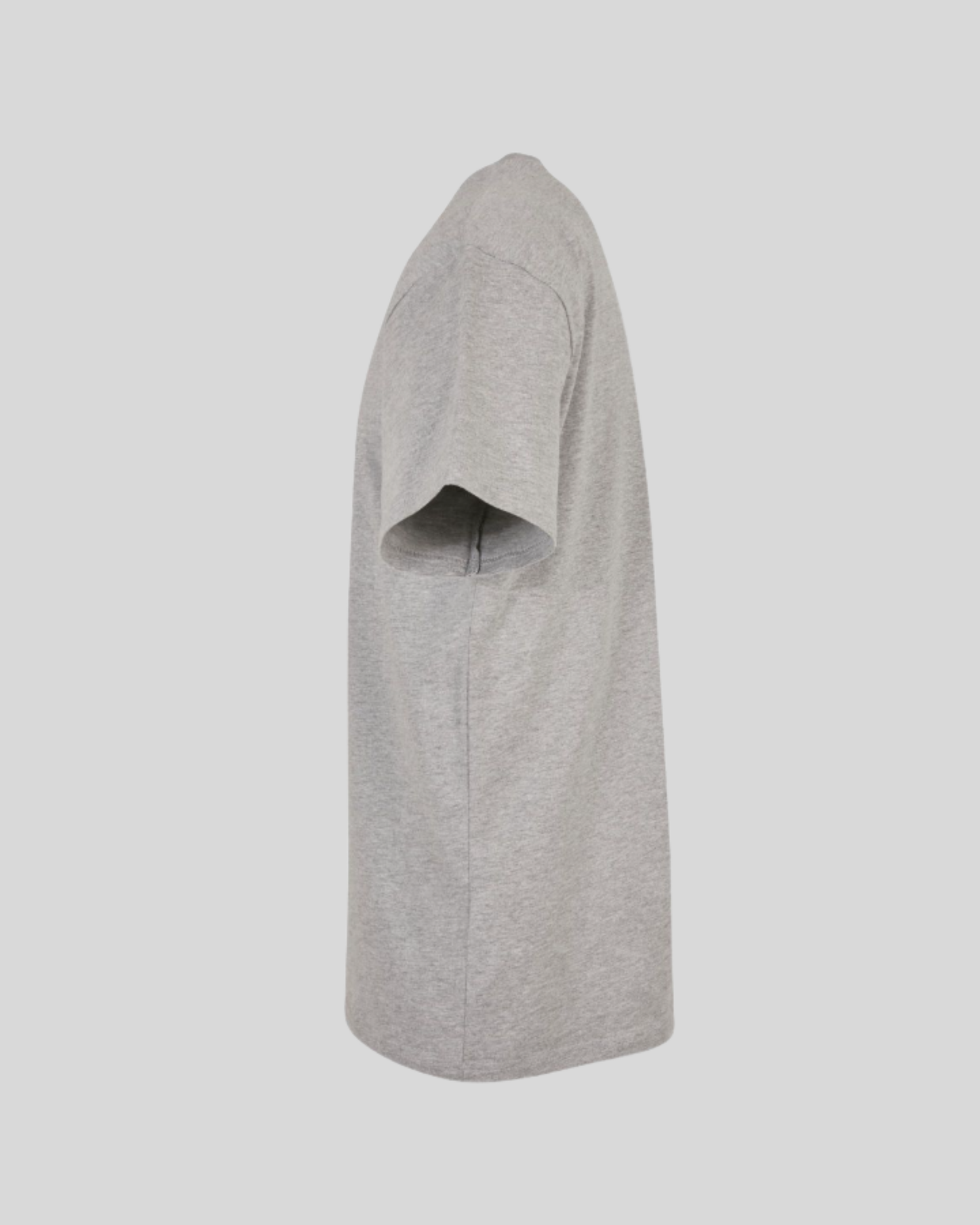 Heavy T-shirt Sample