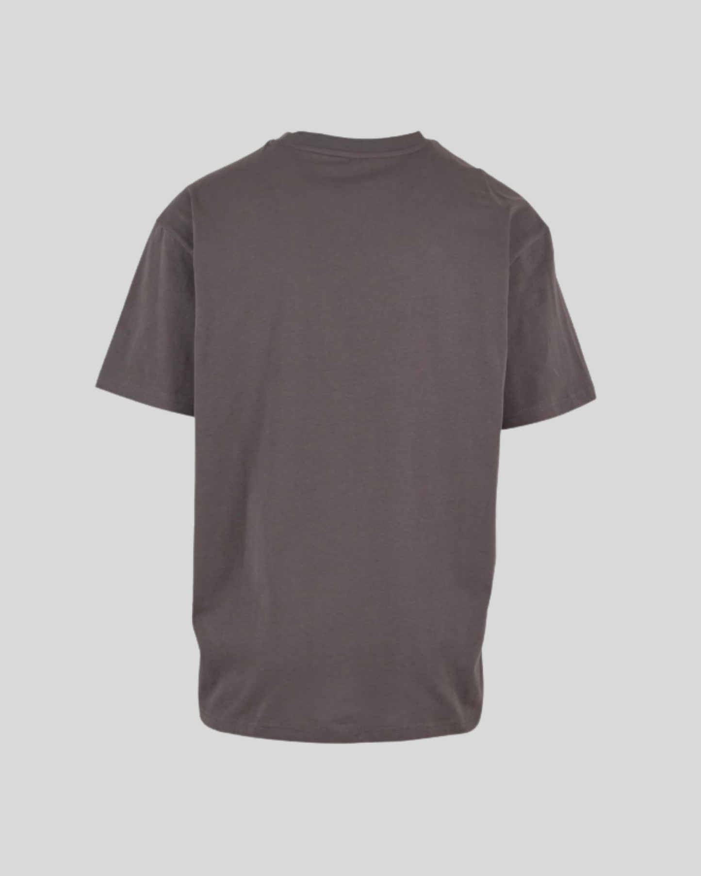 Oversized Tee Sample