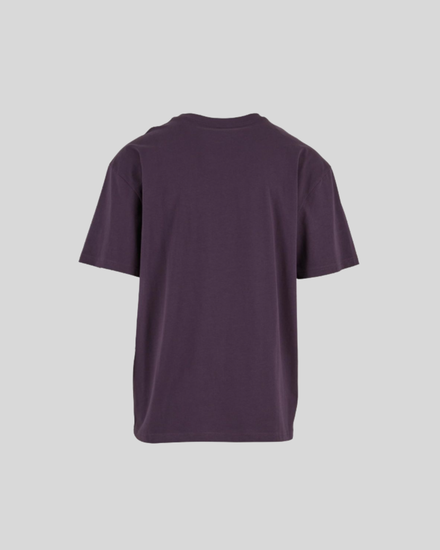 Oversized Tee Sample