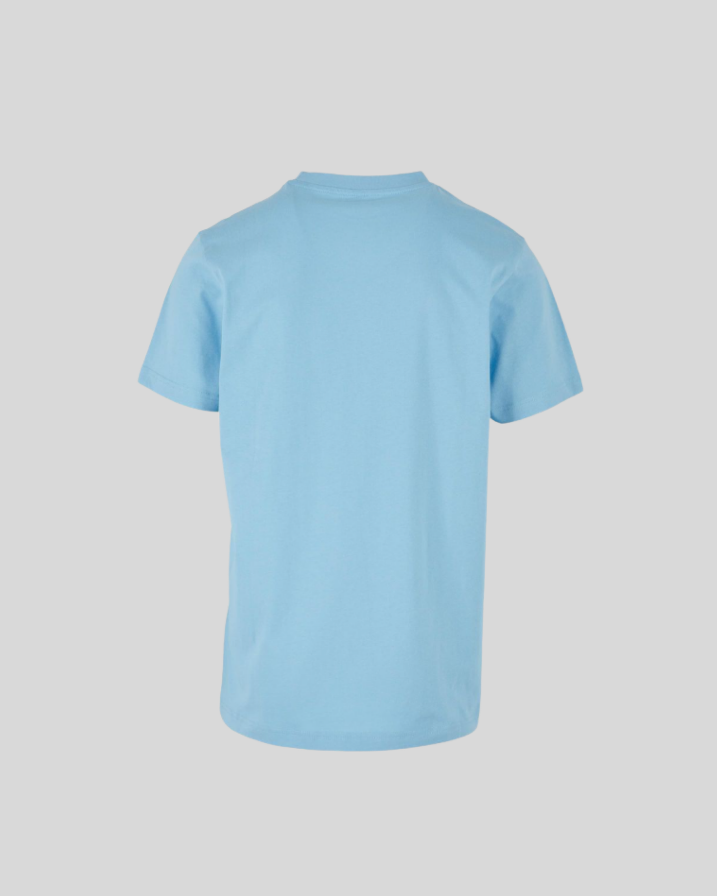 Regular Fit Tee Sample