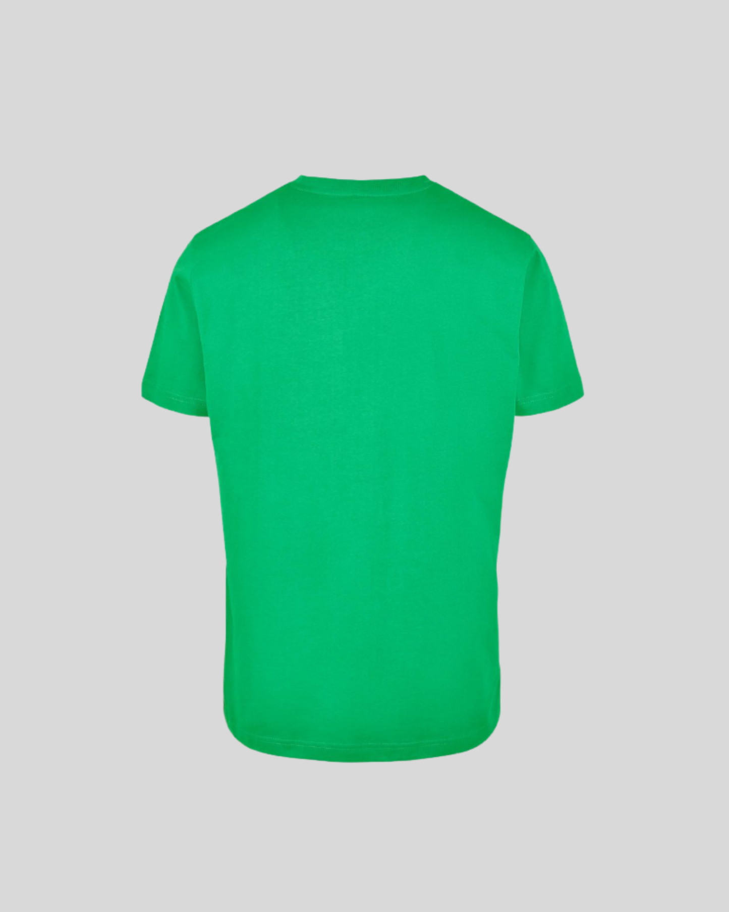 Regular Fit Tee Sample