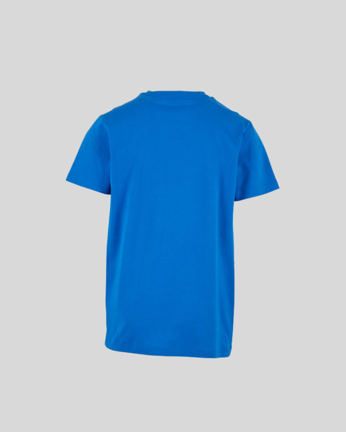 Regular Fit Tee Sample
