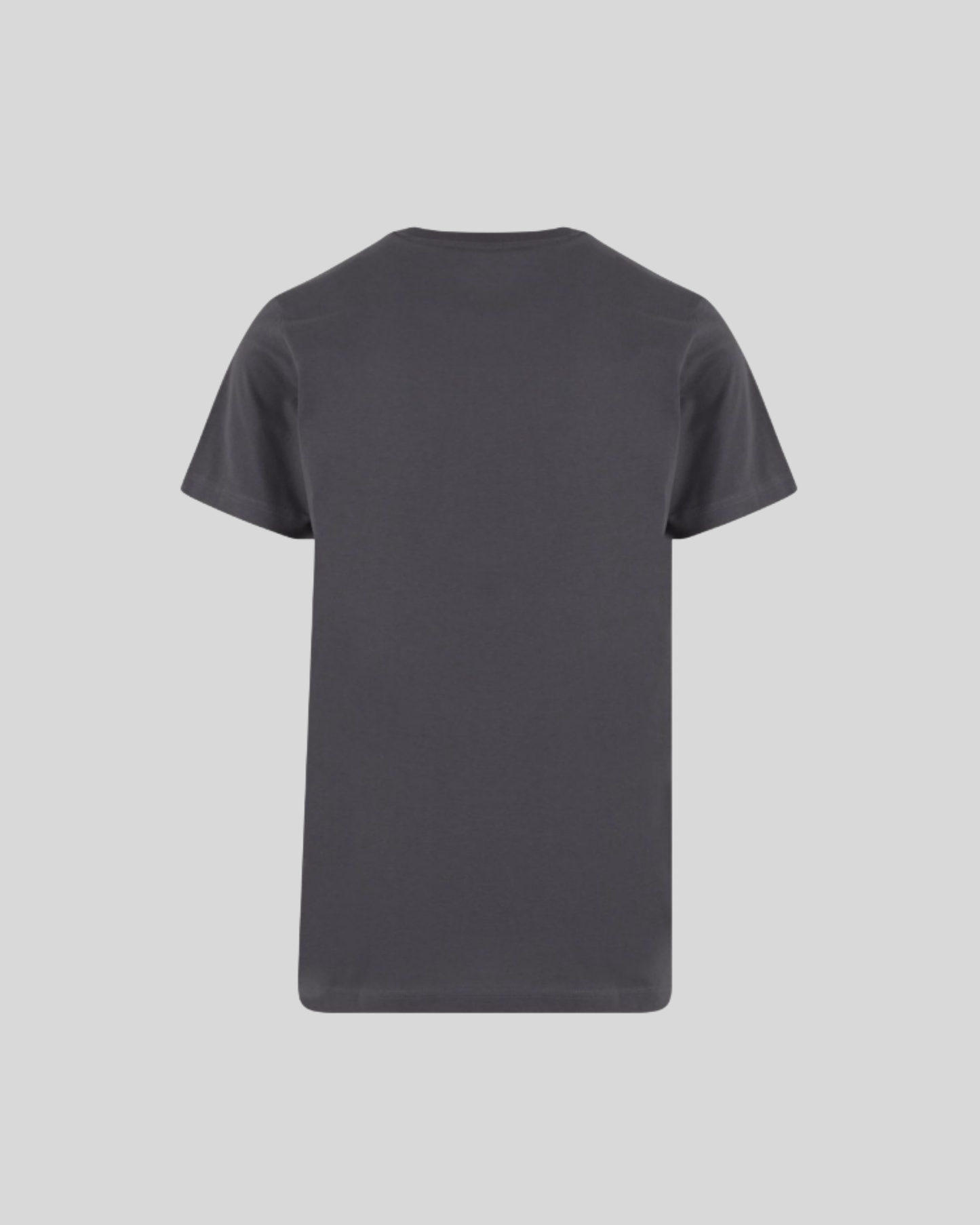 Regular Fit Tee Sample