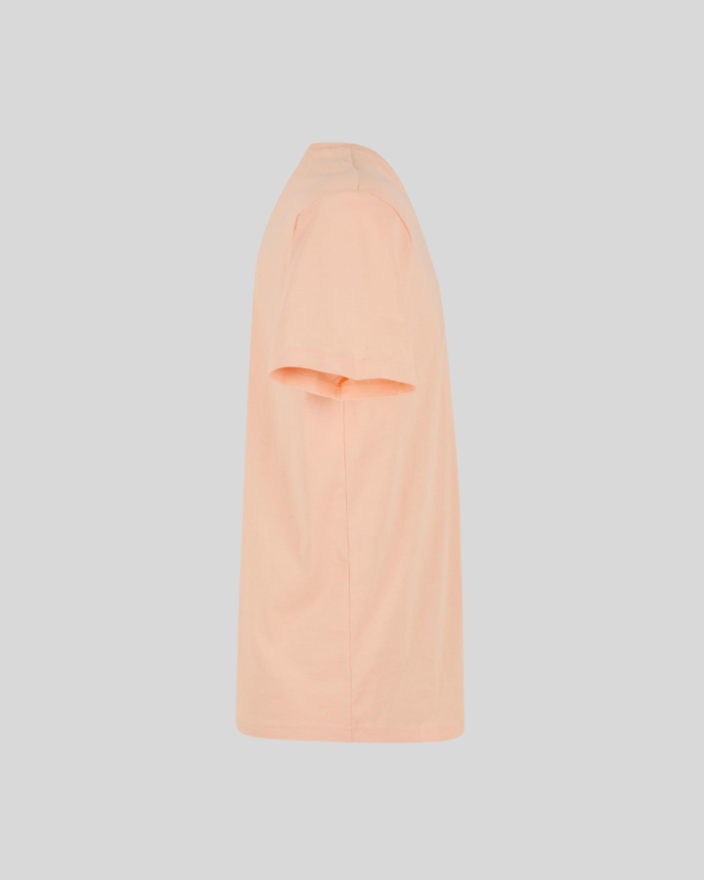 Regular Fit Tee Sample