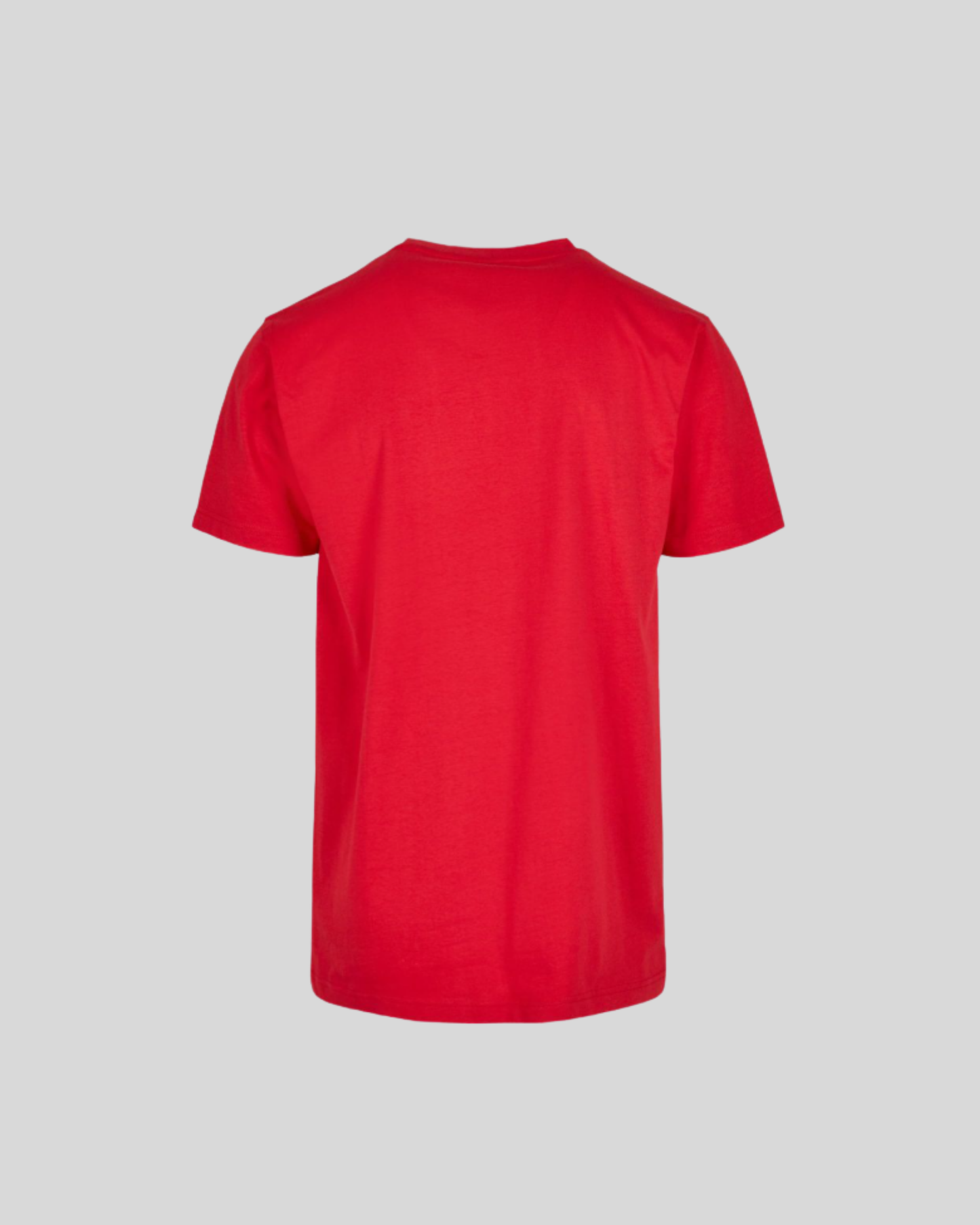 Regular Fit Tee Sample