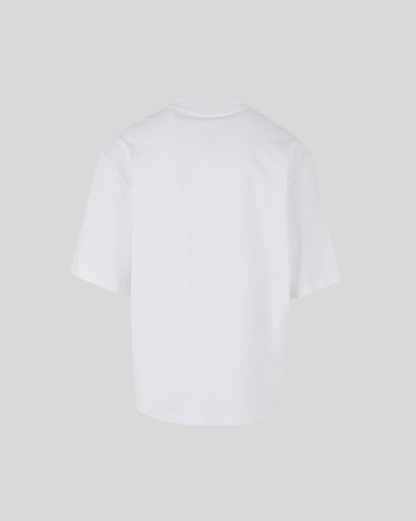 Oversized Sleeve Tee Sample