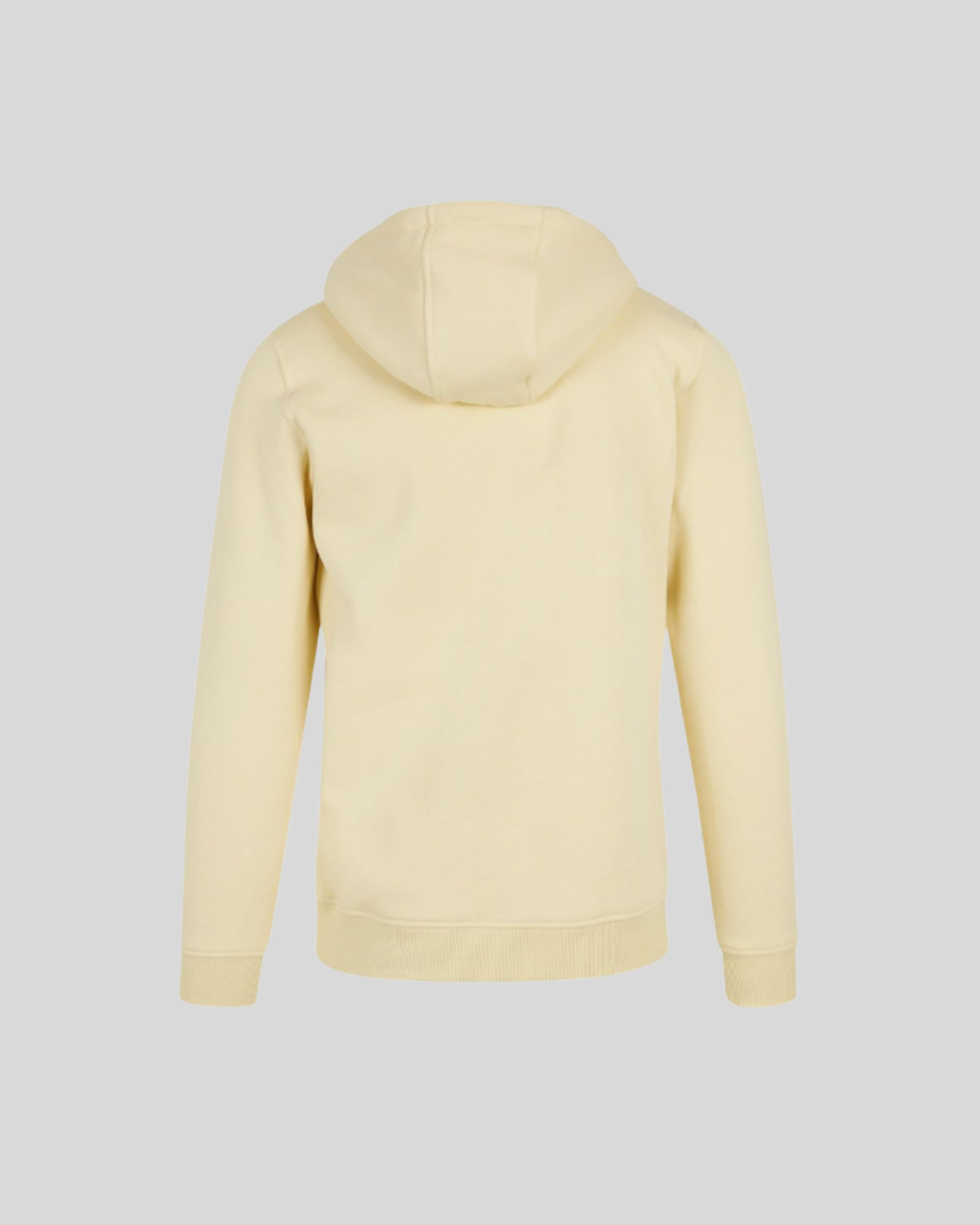 Heavy Regular Hoodie Sample