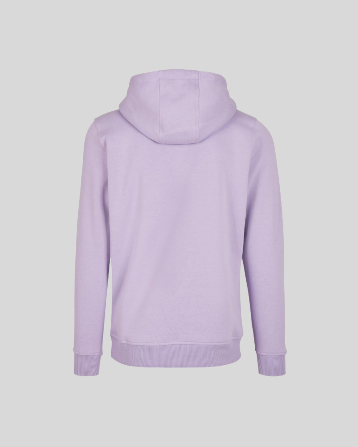 Heavy Regular Hoodie Sample