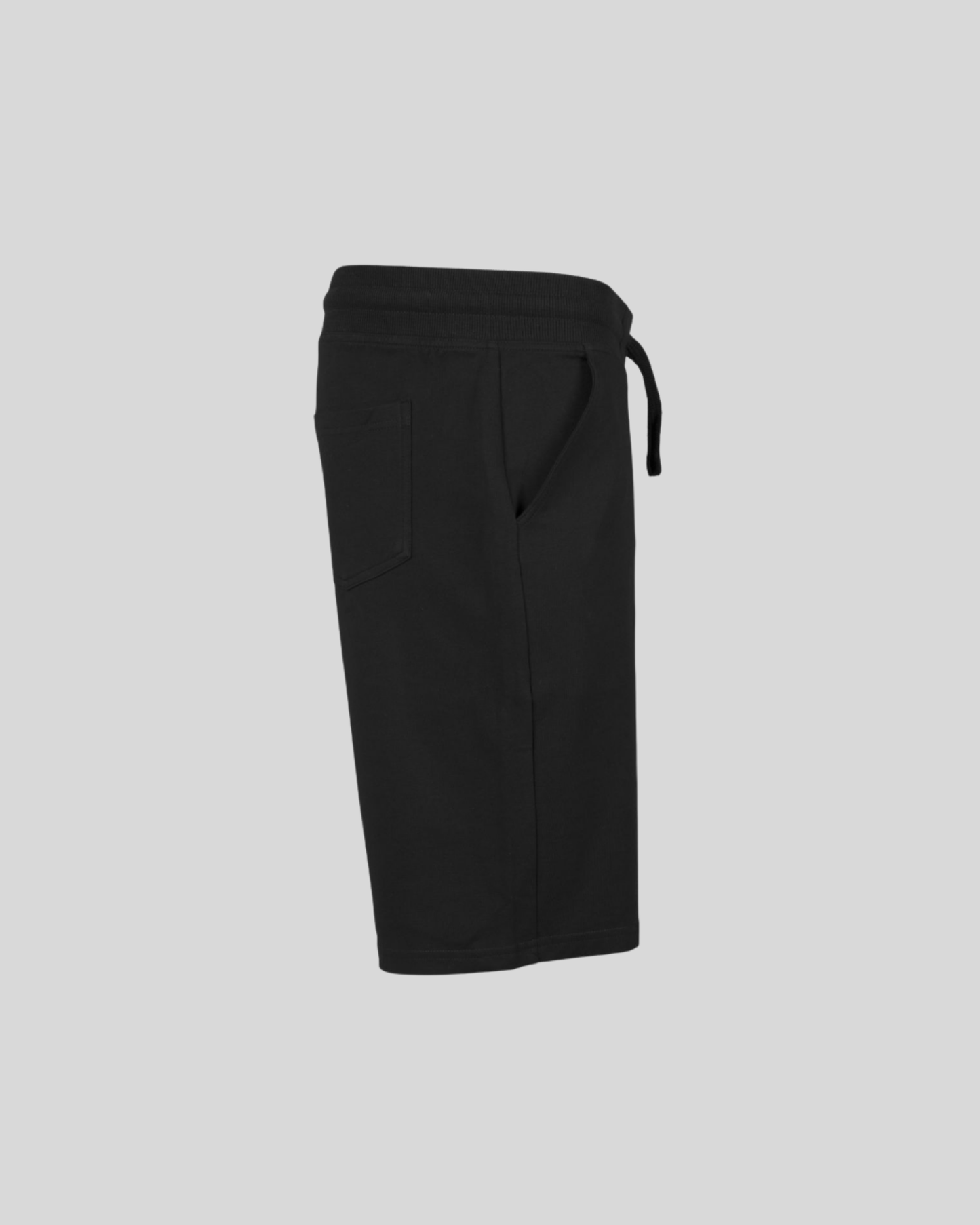 Terry Shorts Sample