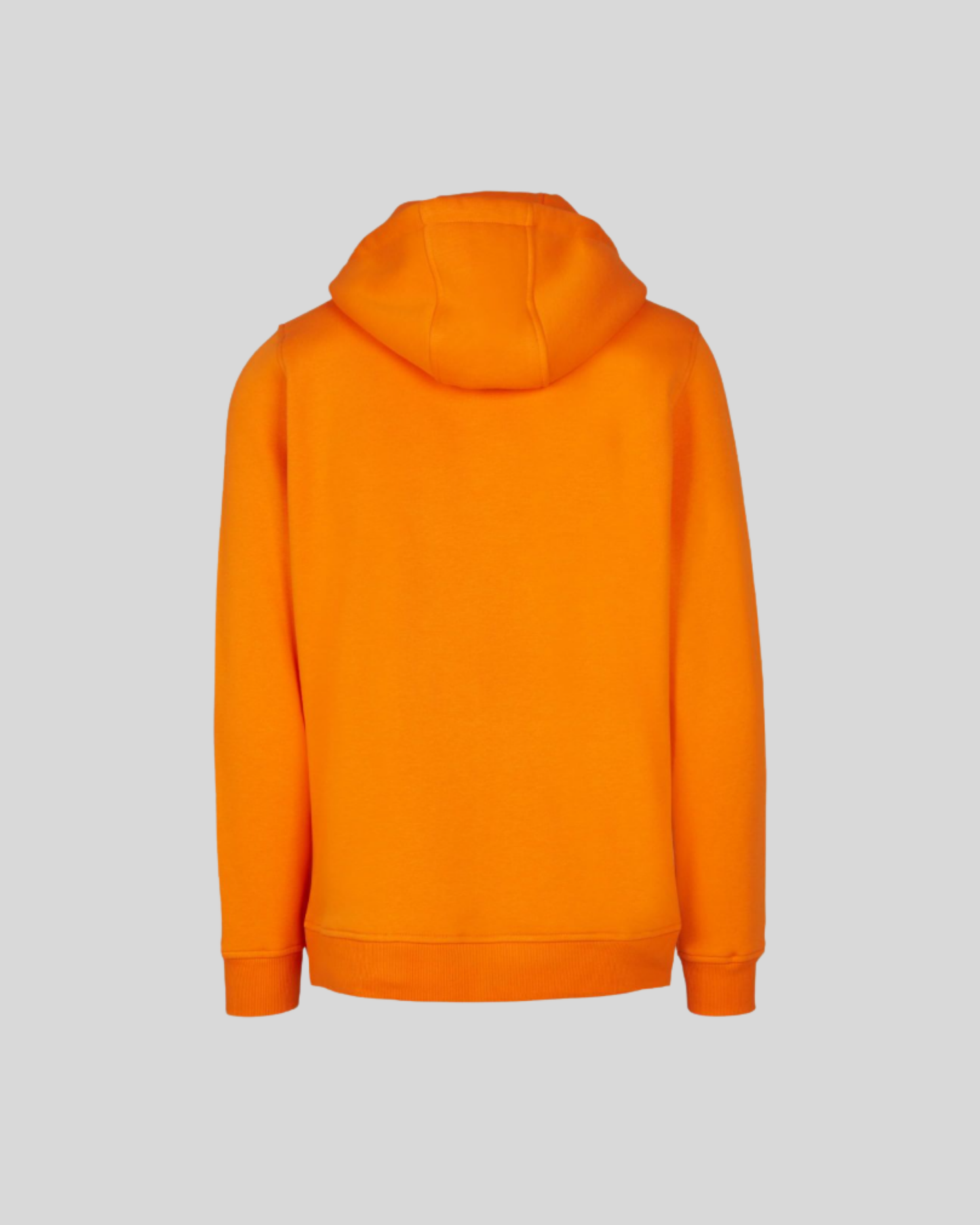 Heavy Regular Hoodie Sample