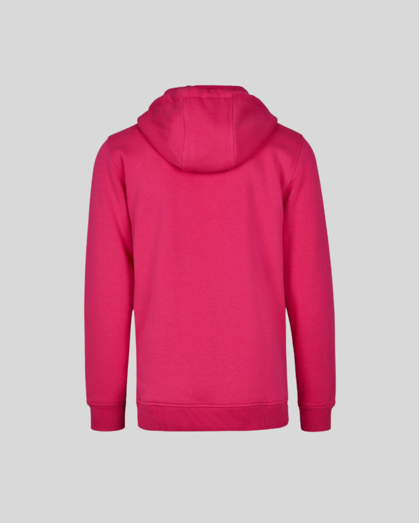 Heavy Regular Hoodie Sample