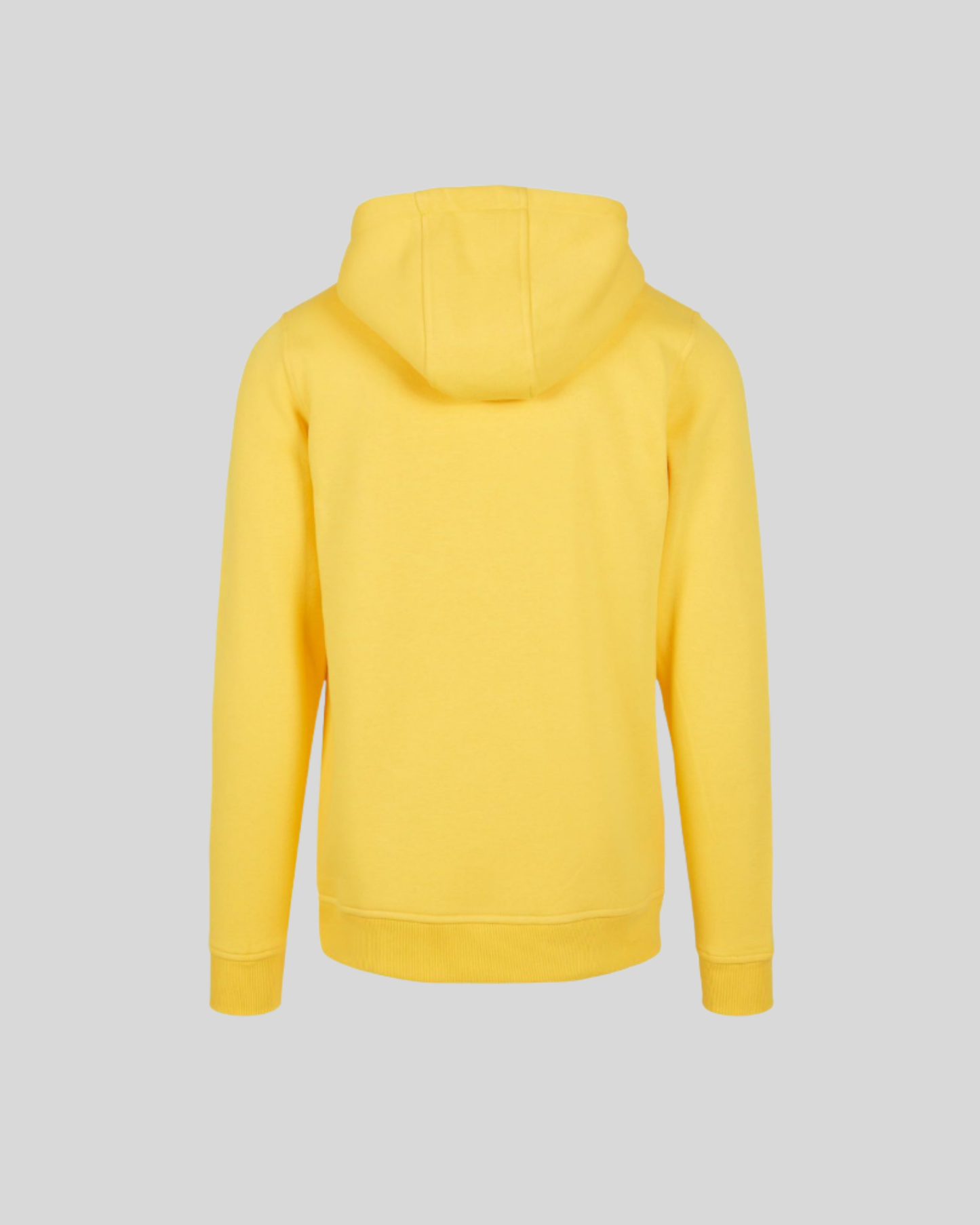 Heavy Regular Hoodie Sample