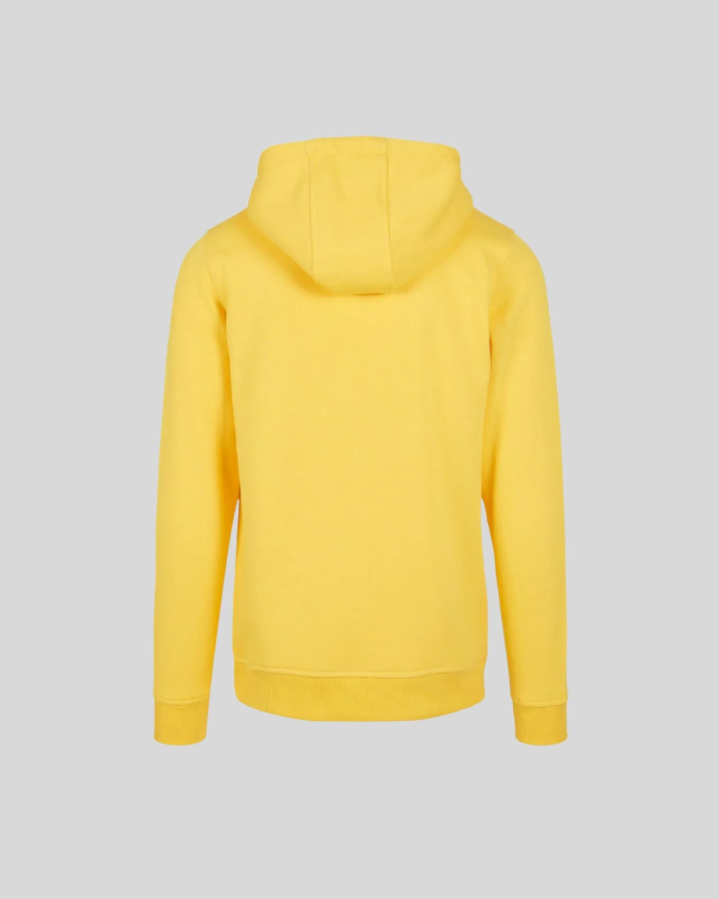 Heavy Regular Hoodie - Kleding Masters