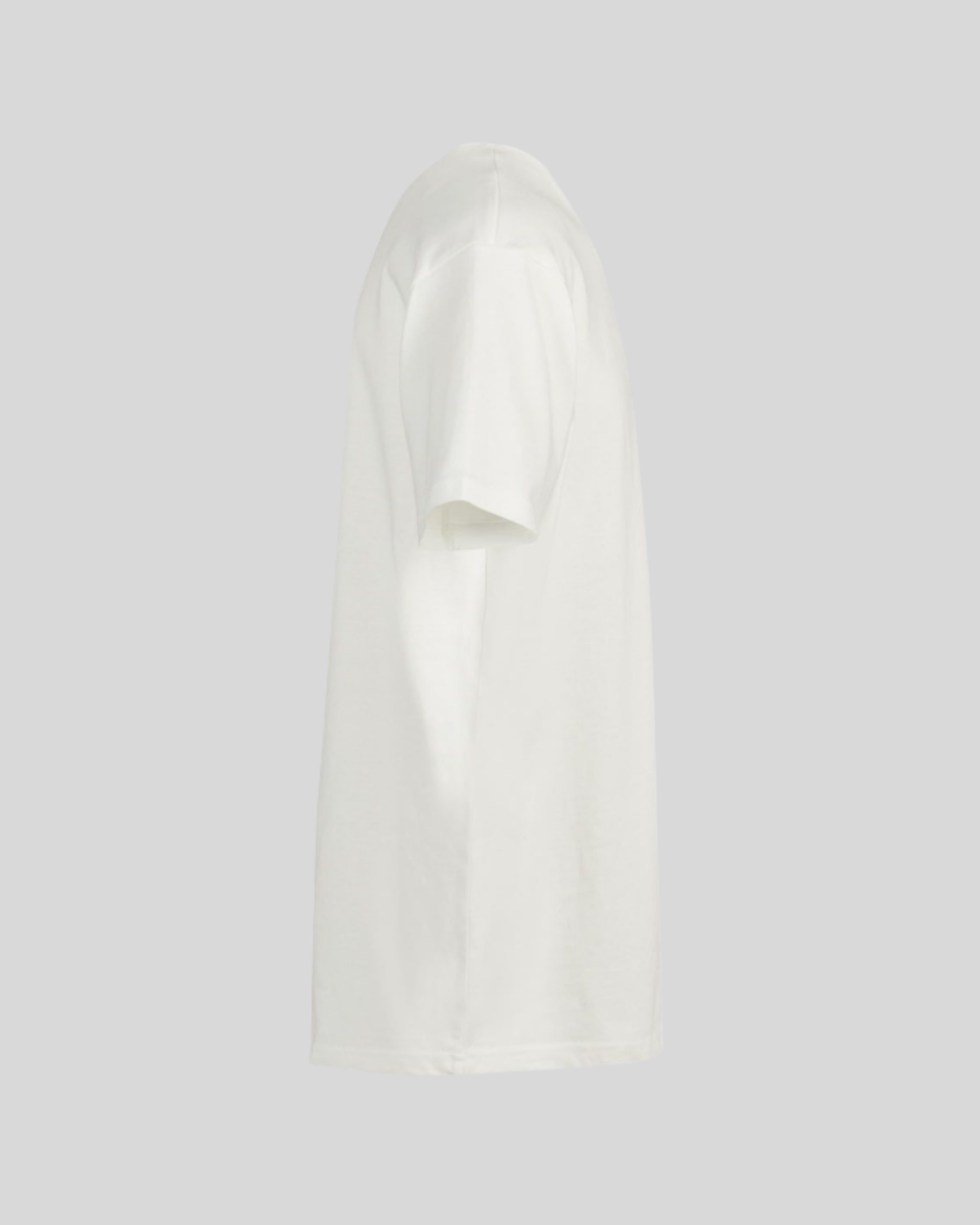 Heavy T-shirt Sample