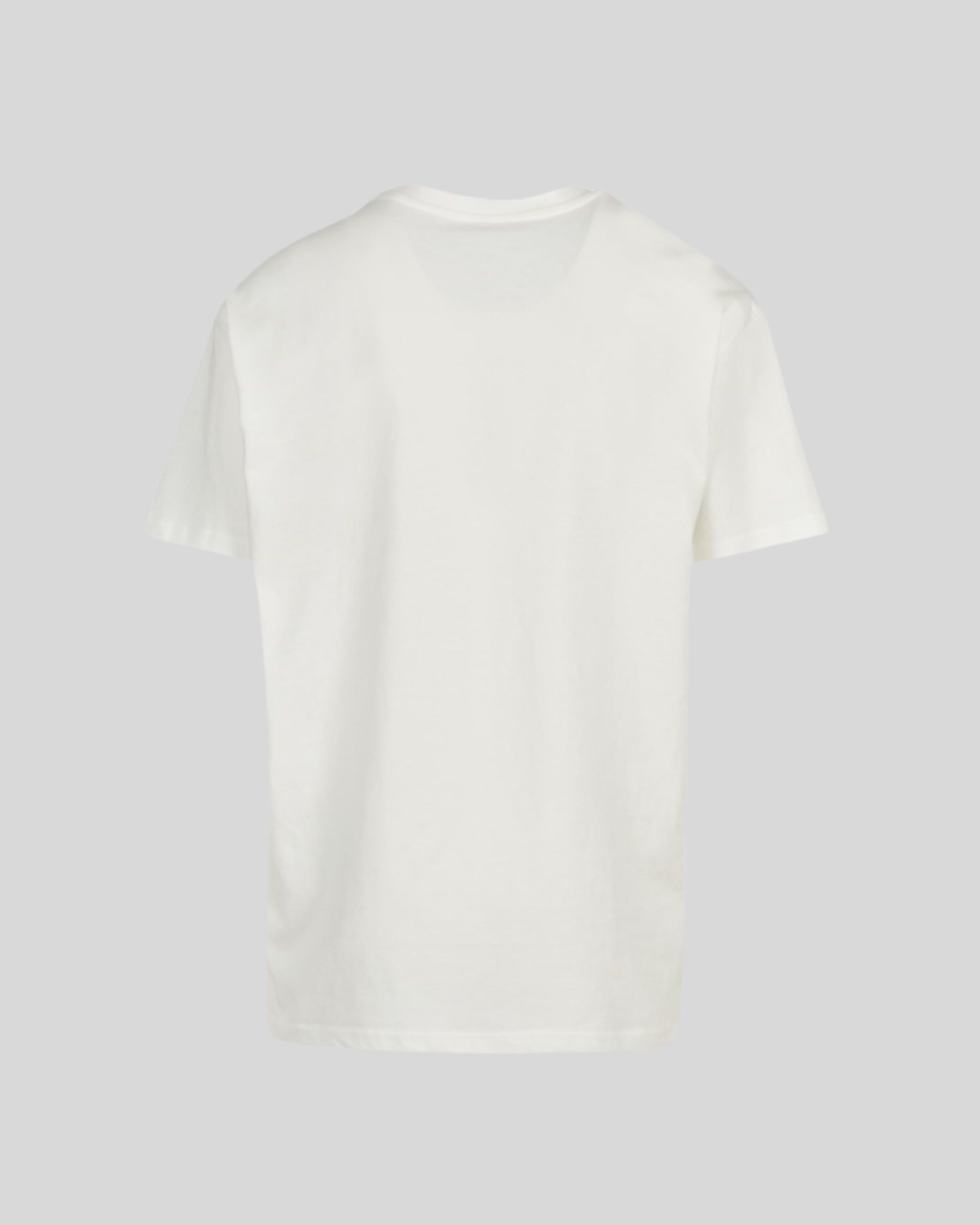 Heavy T-shirt Sample