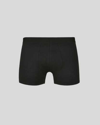 Men Boxer (2 pieces) Sample 