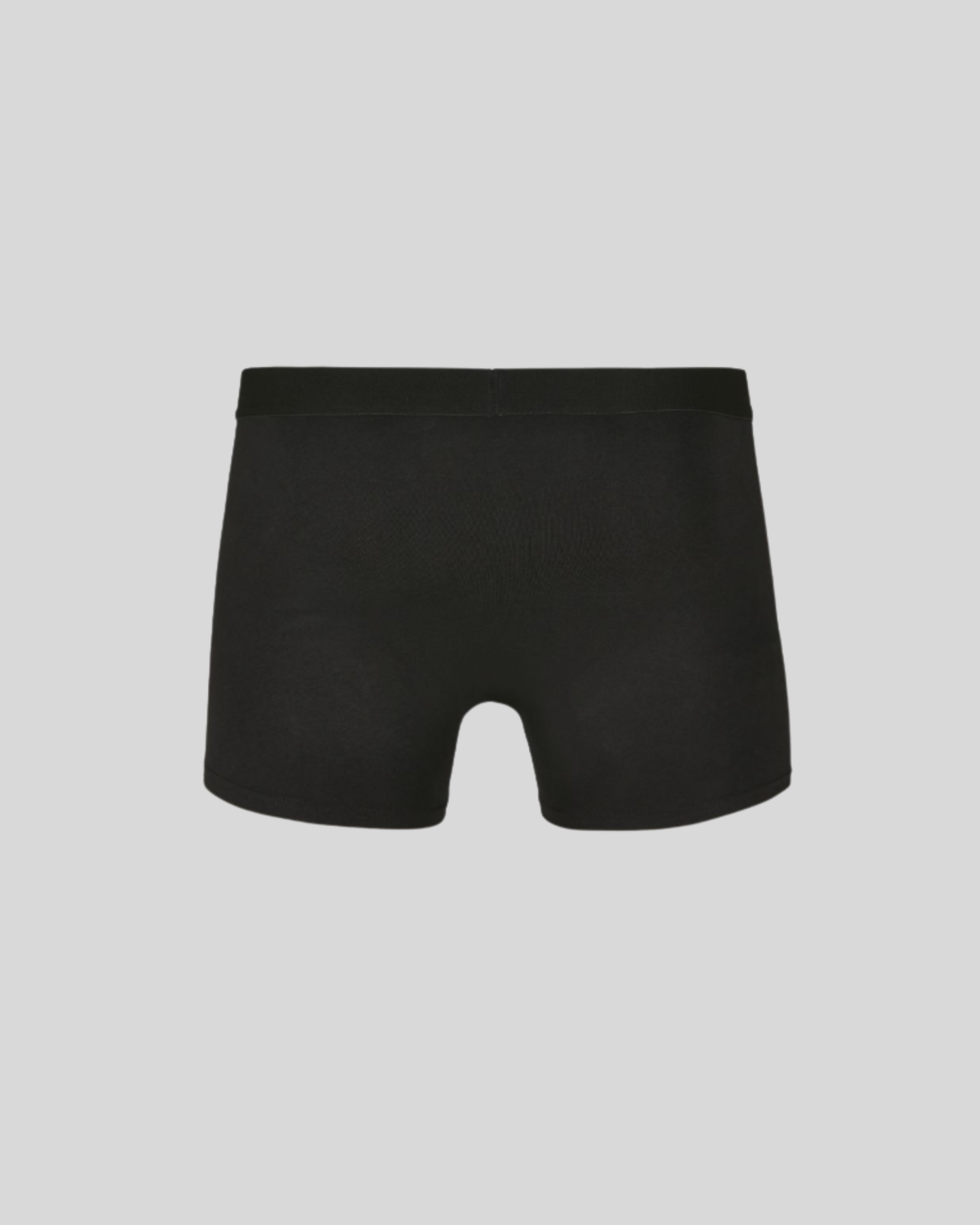 Men Boxer (2 pieces) Sample 