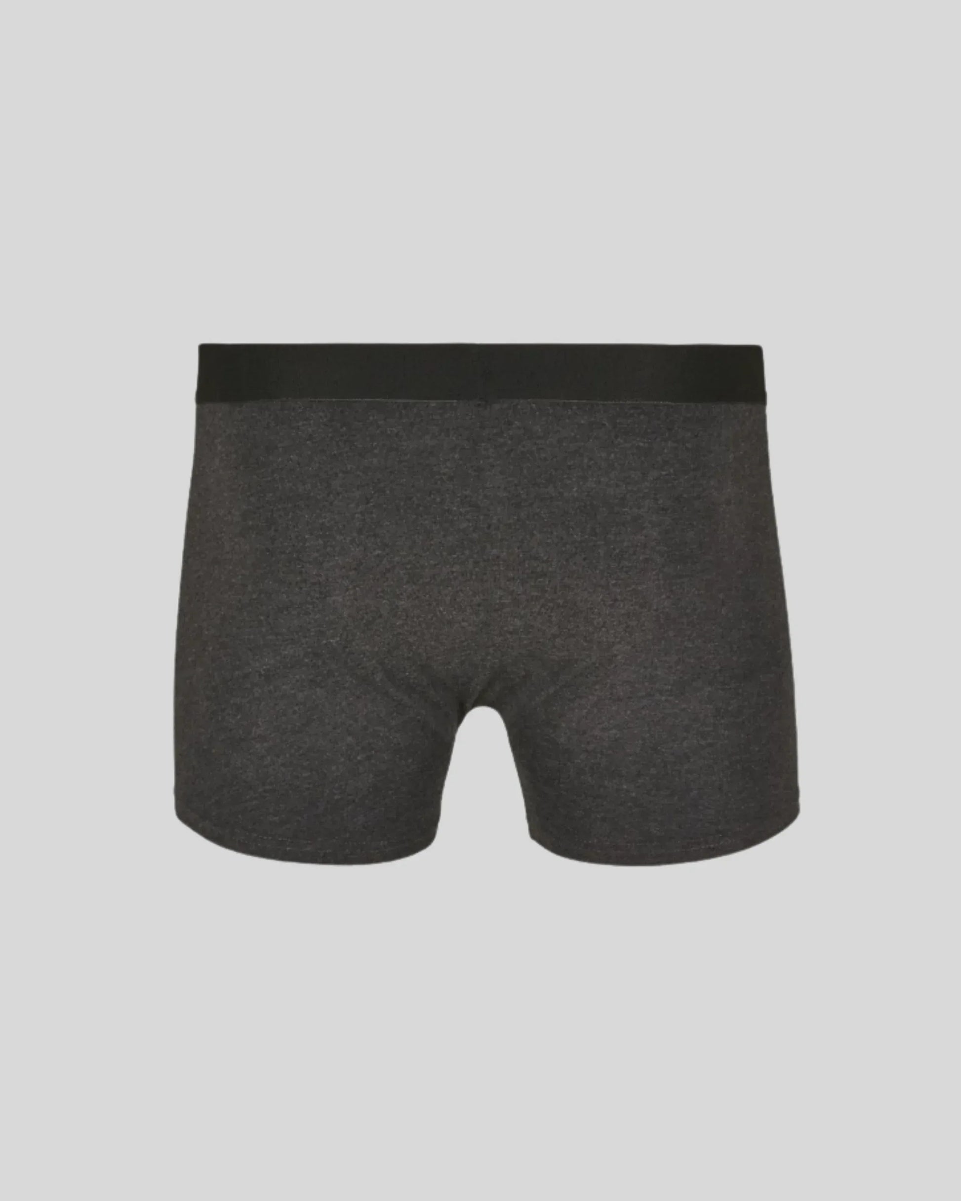 Men Boxer (2 stuks) - Kleding Masters