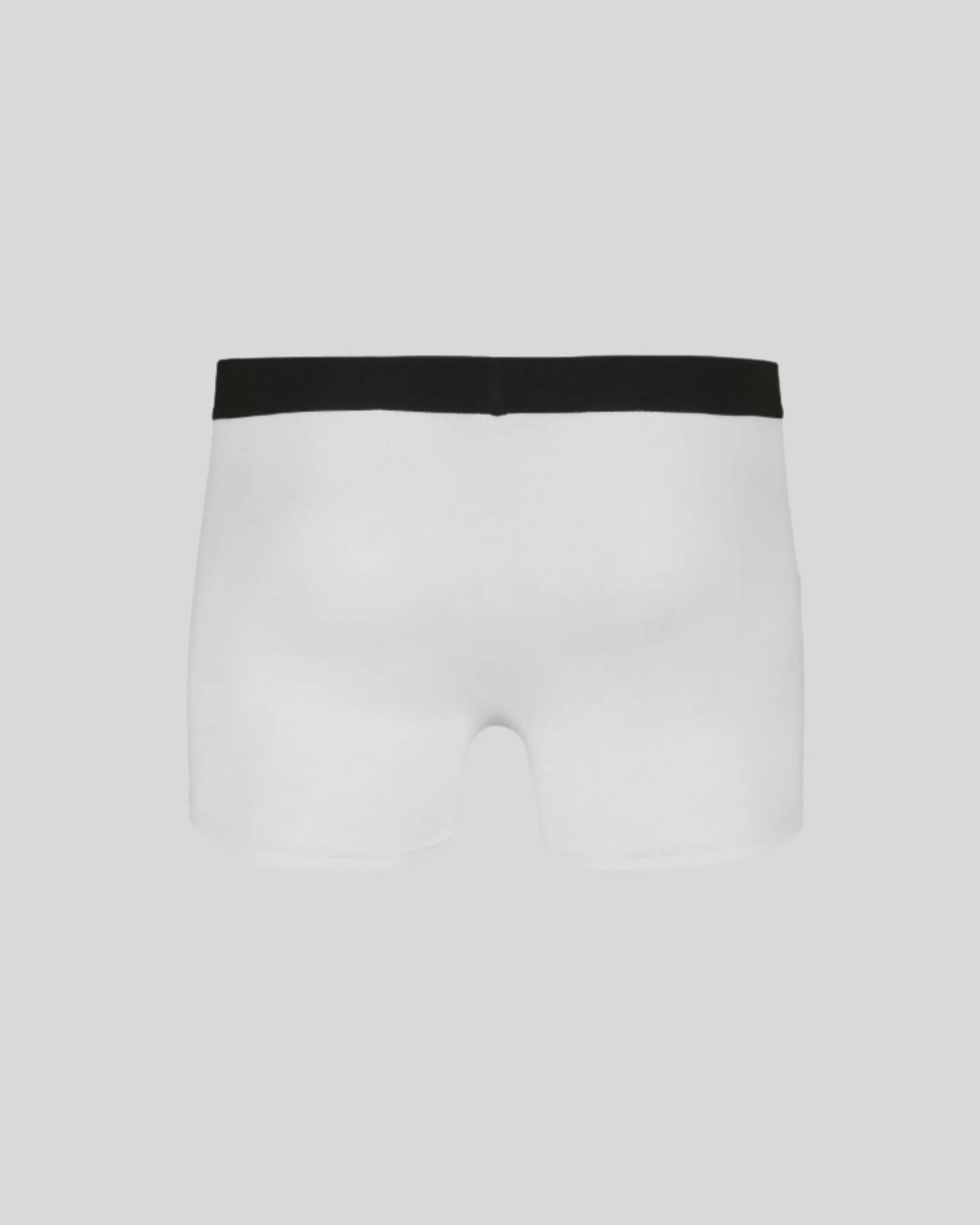 Men Boxer (2 stuks) - Kleding Masters
