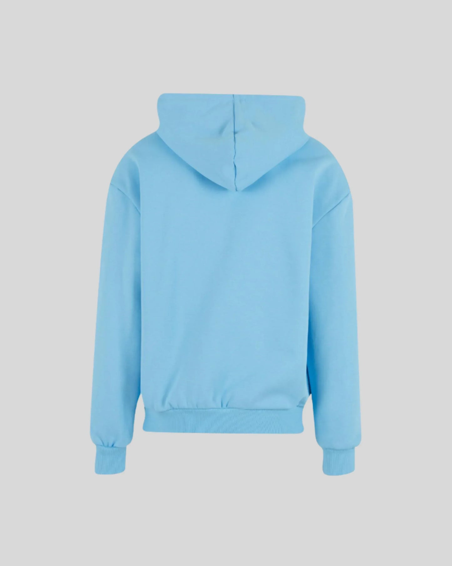 Ultra Heavy Regular Hoodie - Kleding Masters
