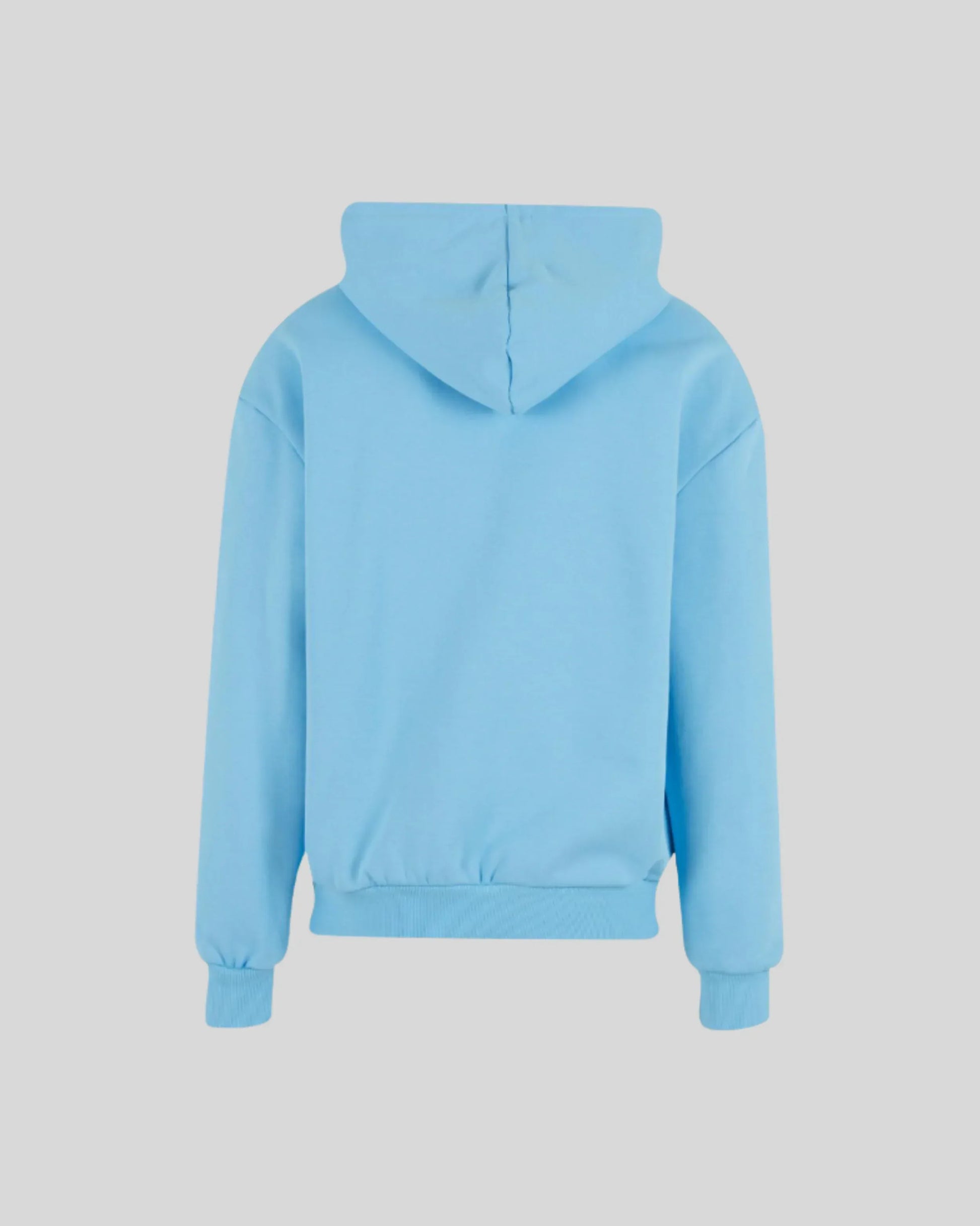Ultra Heavy Regular Hoodie - Kleding Masters
