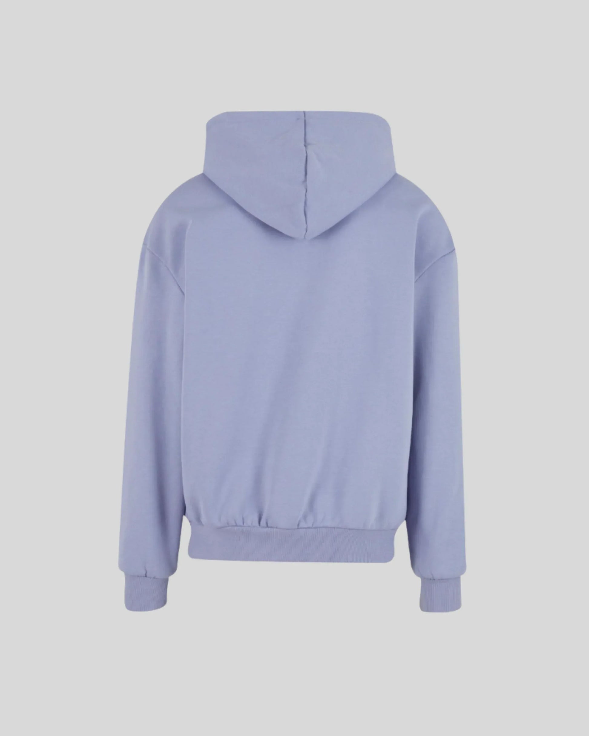 Ultra Heavy Regular Hoodie - Kleding Masters