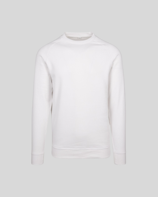 Raglan Sweater Sample