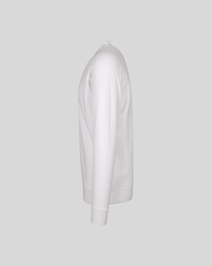 Raglan Sweater Sample