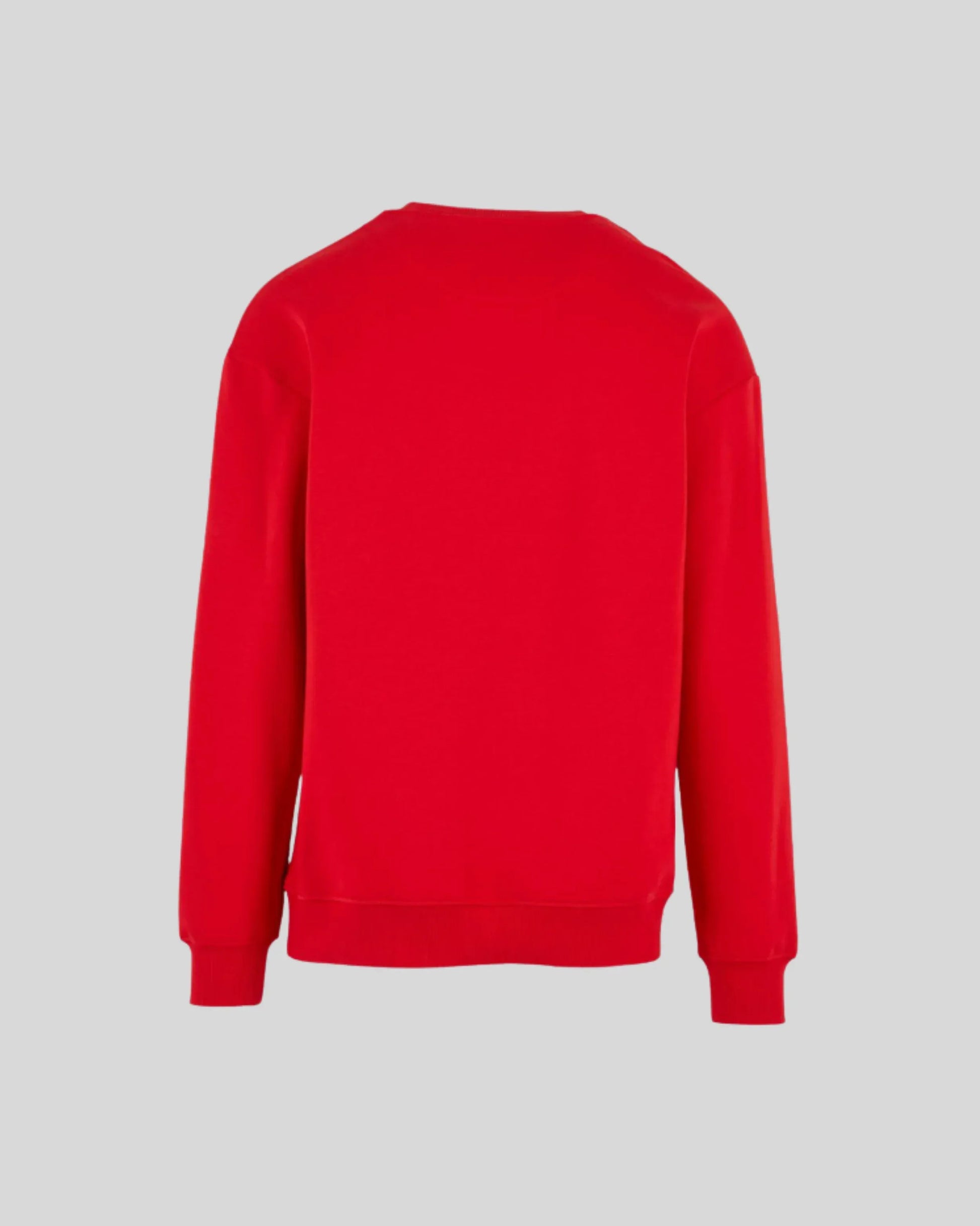 Fit Sweater - Kleding Masters