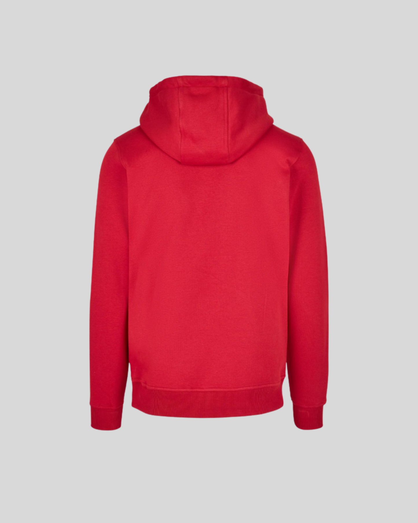 Heavy Regular Hoodie Sample