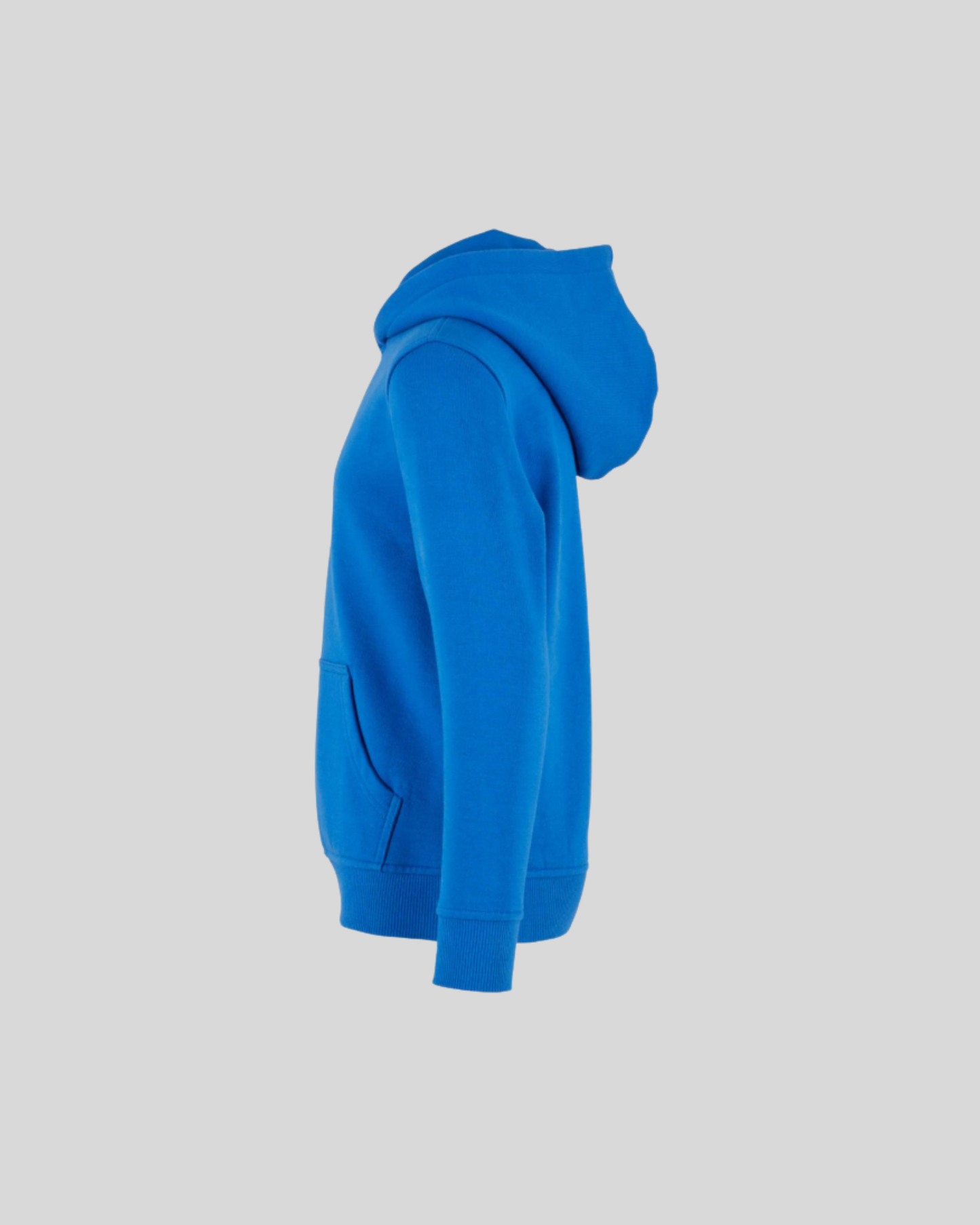 Organic Basic Kids Hoody Sample