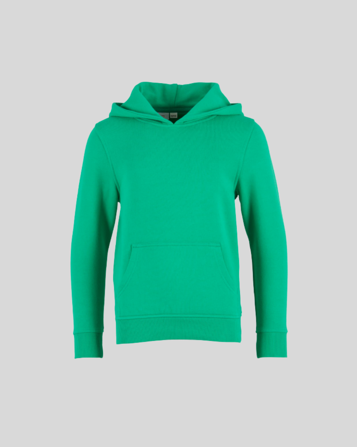 Organic Basic Kids Hoody Sample