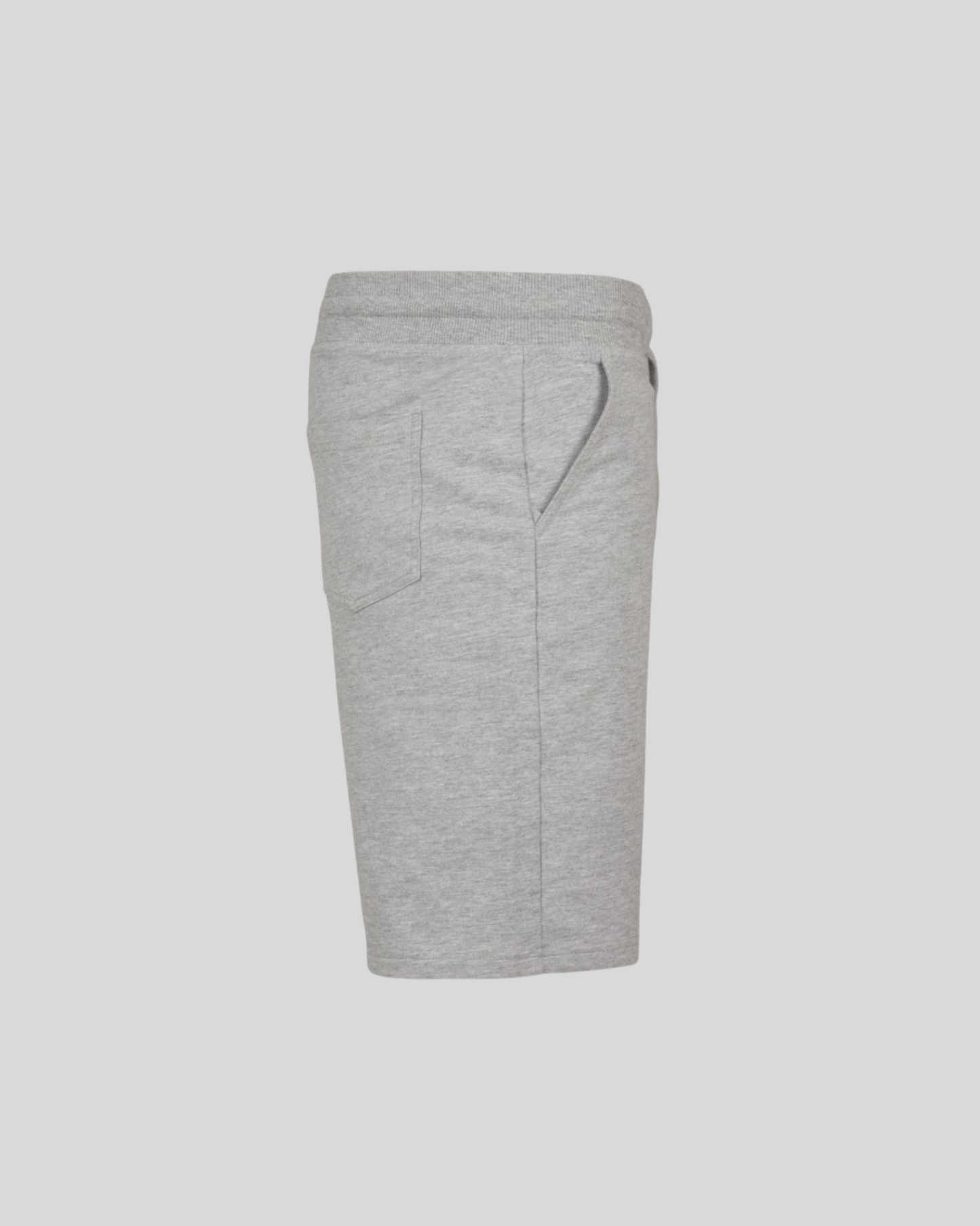 Terry Shorts Sample