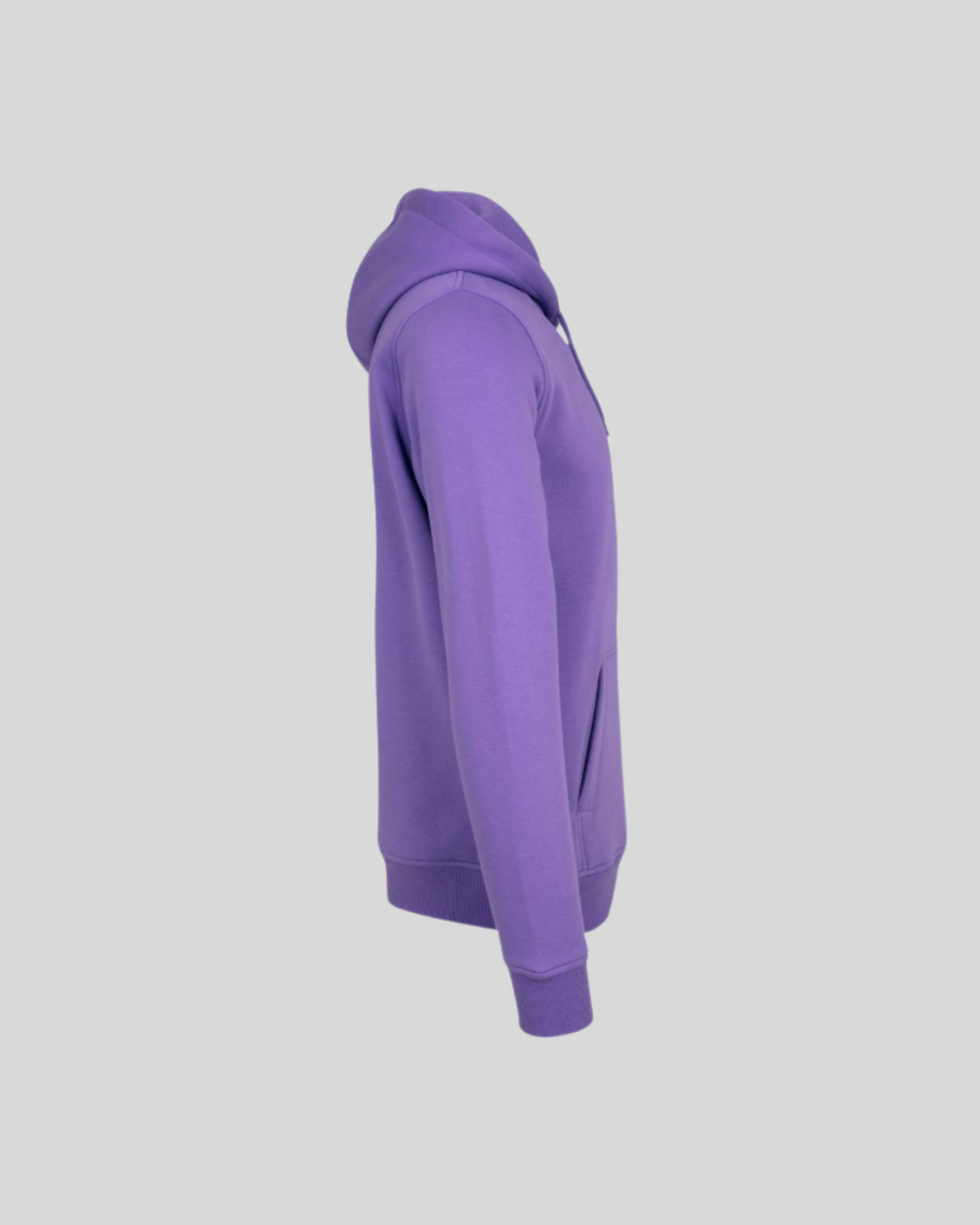 Heavy Regular Hoodie Sample