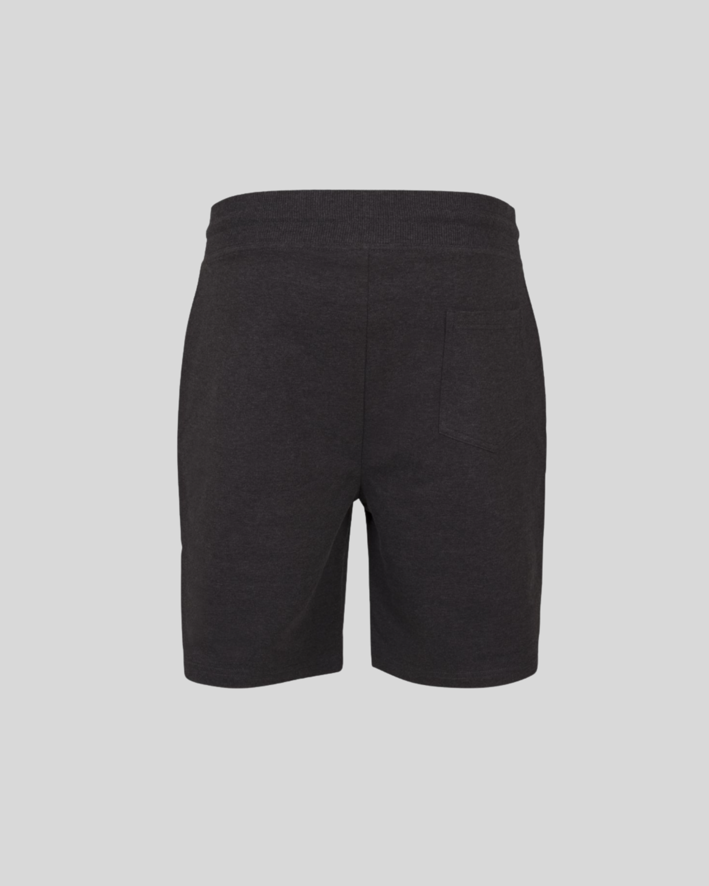 Terry Shorts Sample