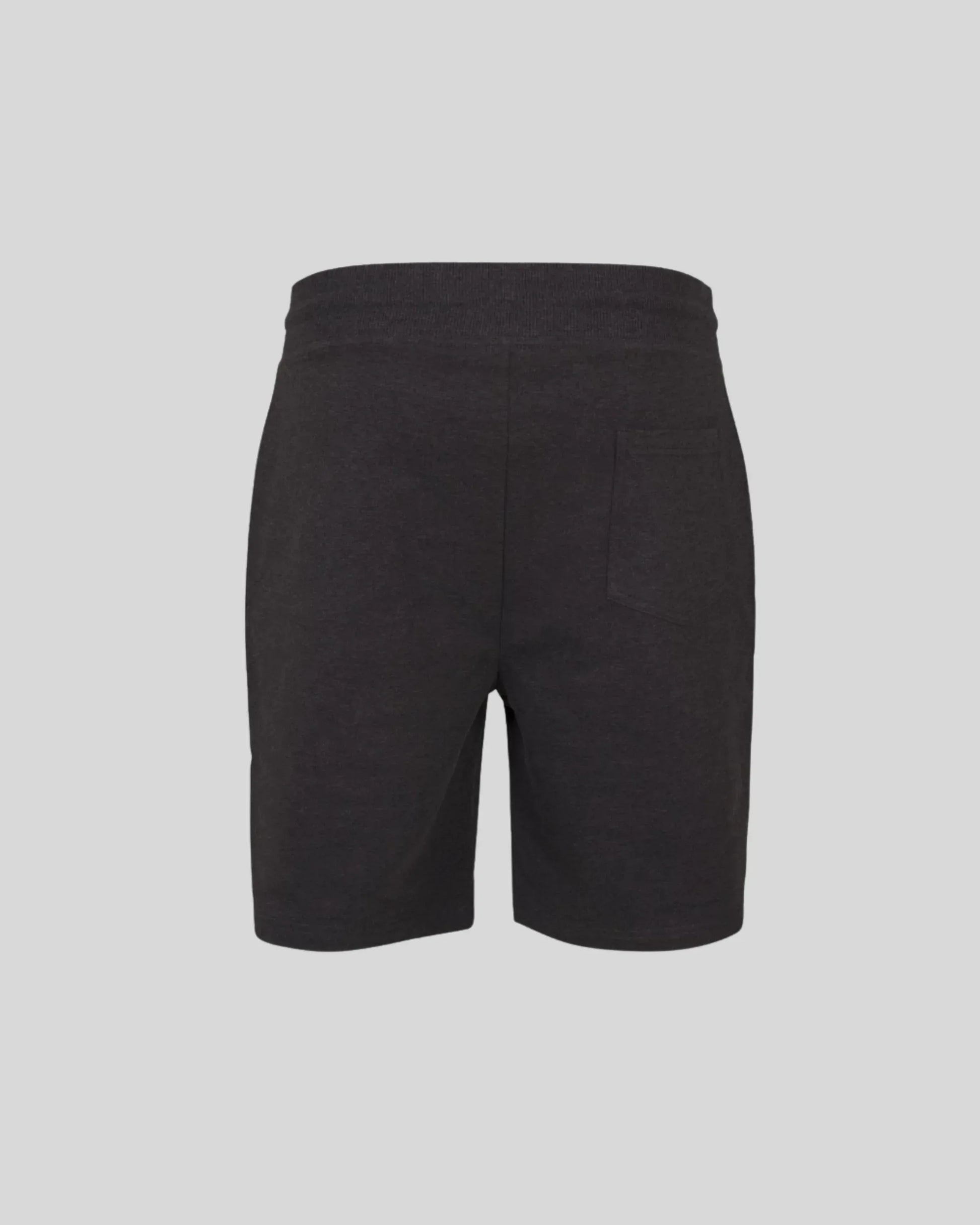 Terry Shorts - Kleding Masters