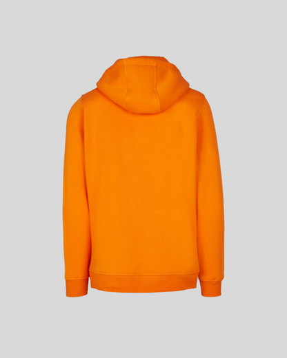 Heavy Regular Hoodie Sample